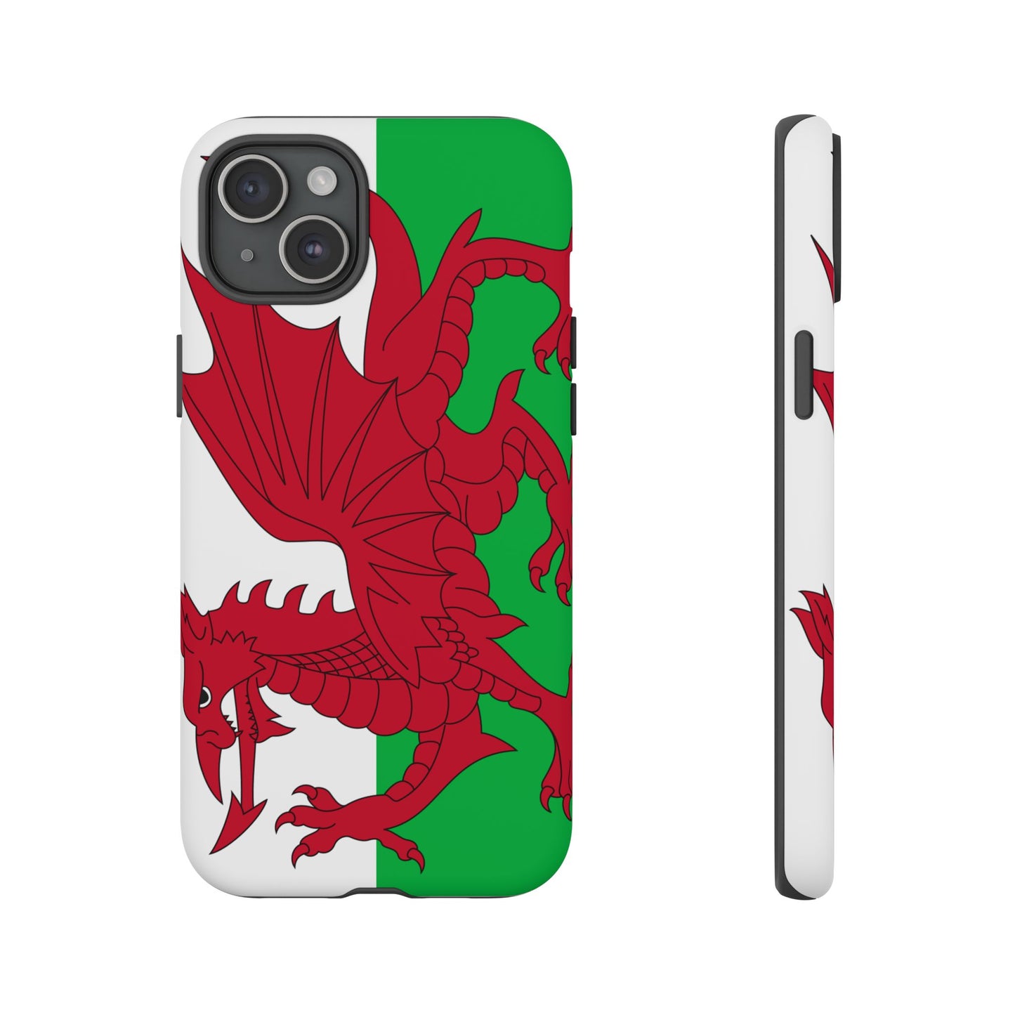 Wales Flag Case
