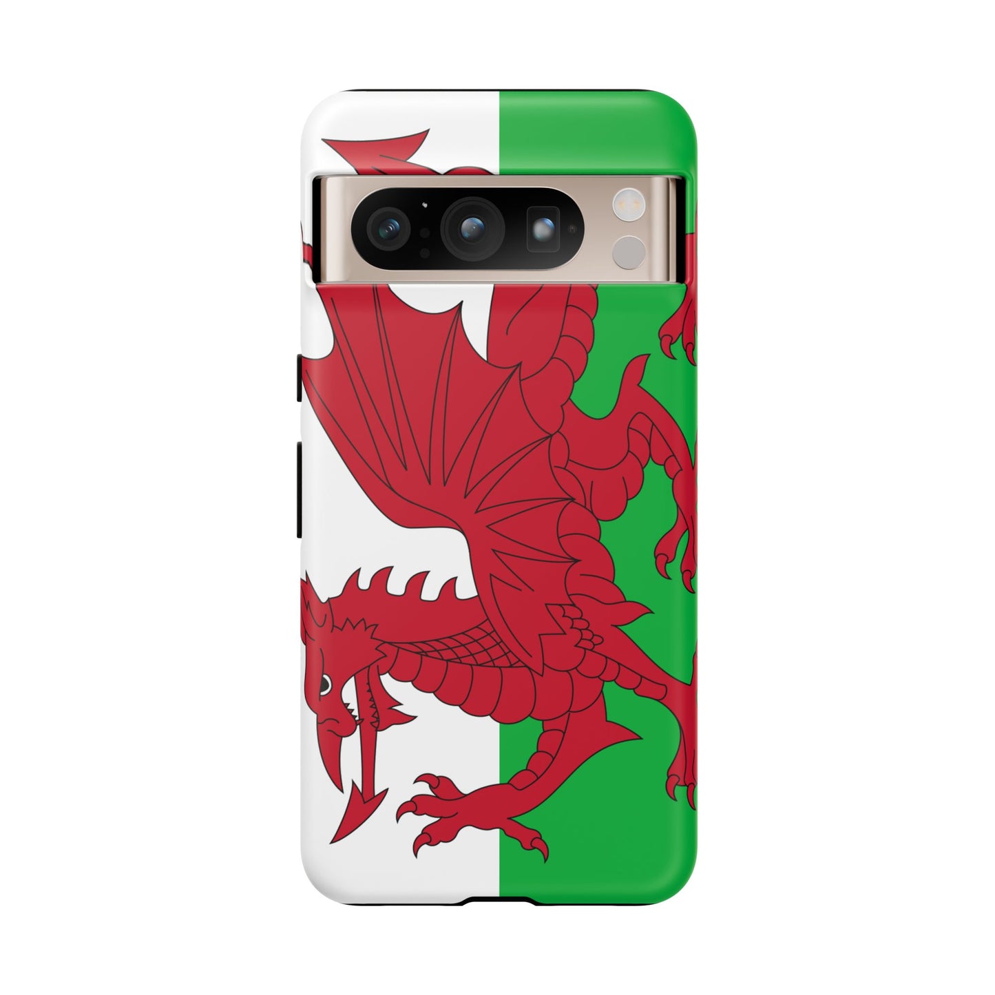 Wales Flag Case