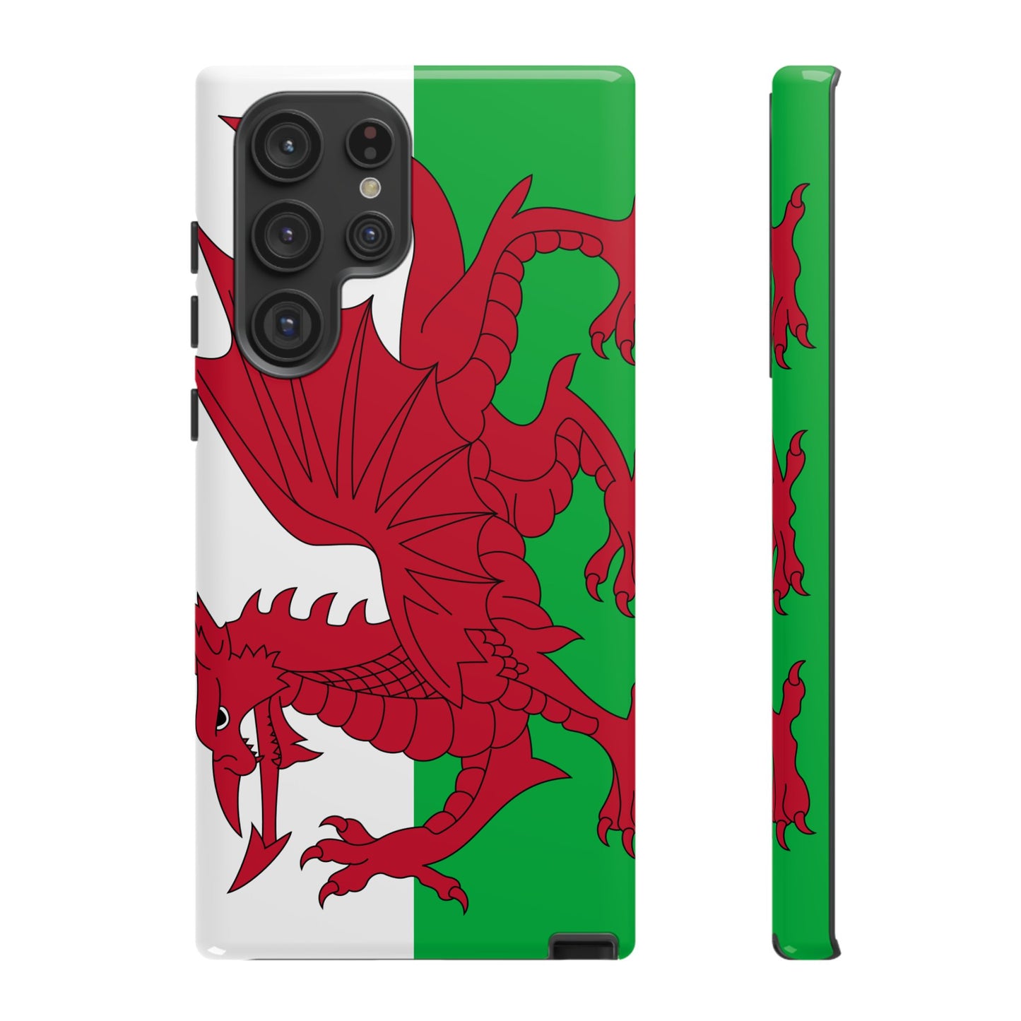 Wales Flag Case