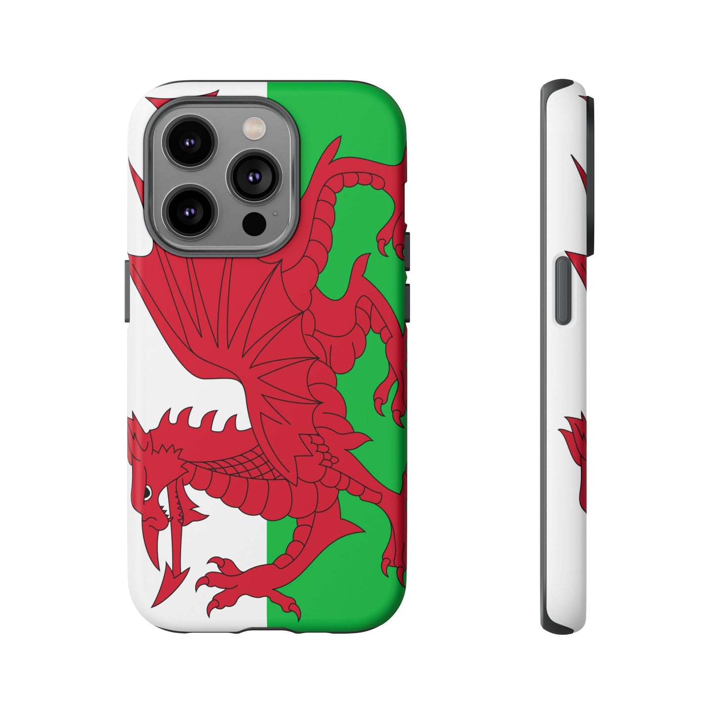 Wales Flag Case