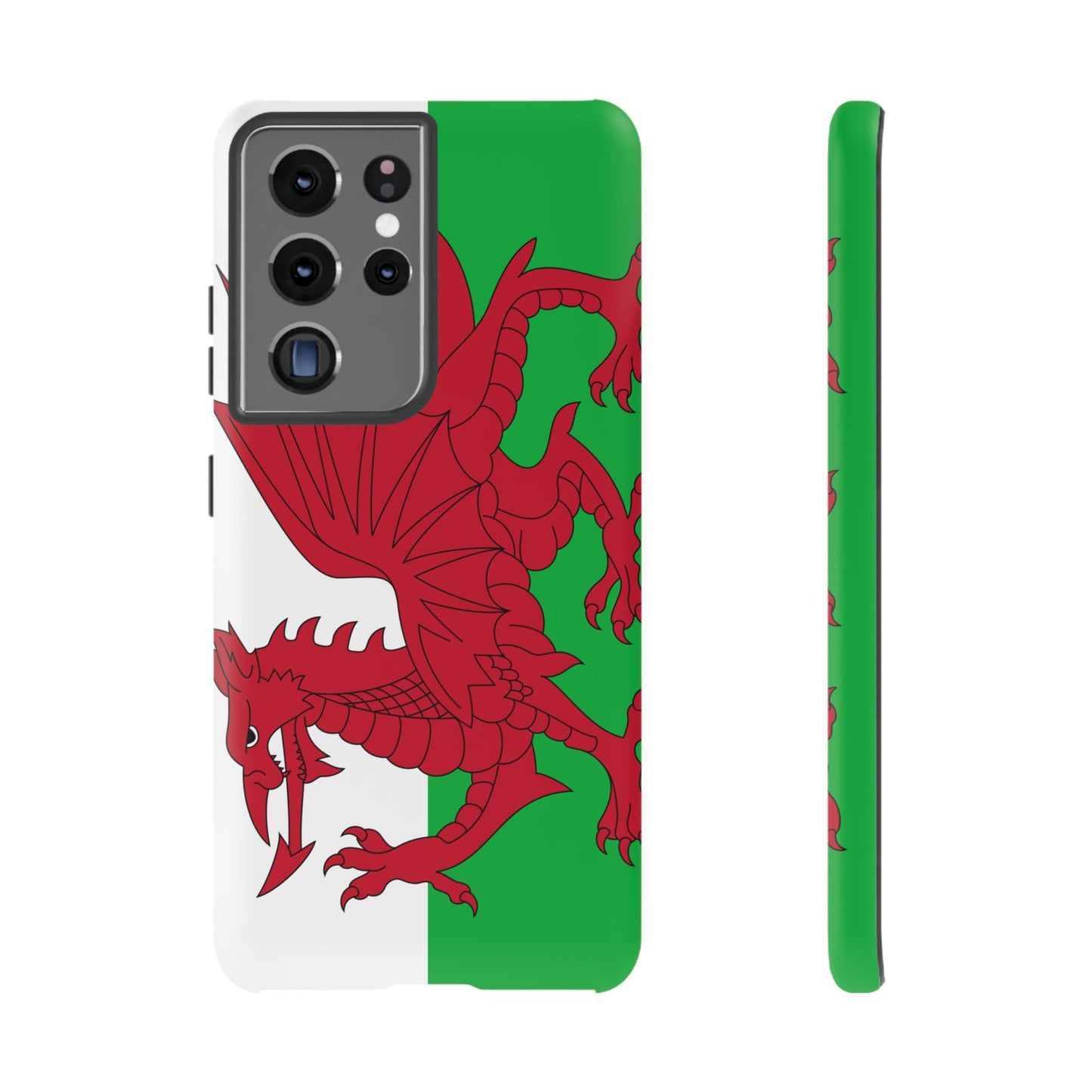 Wales Flag Case