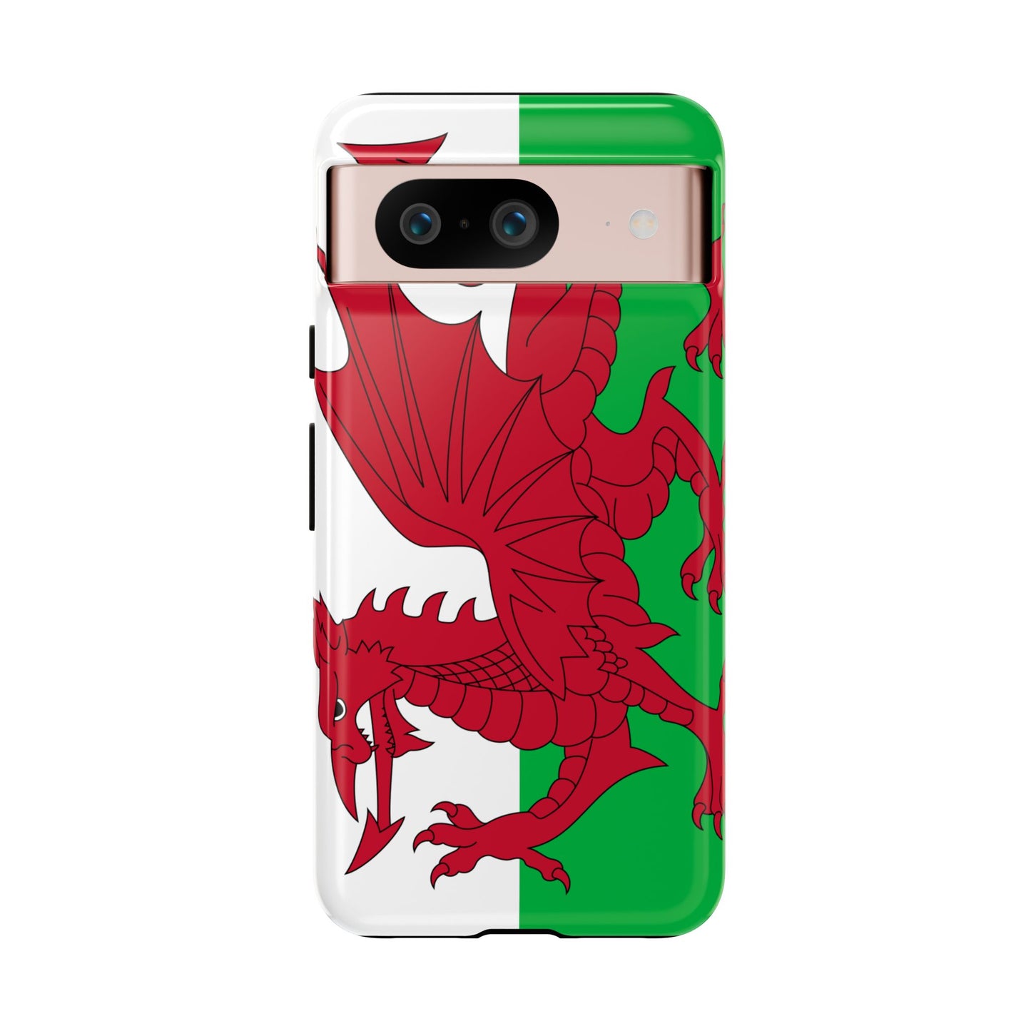Wales Flag Case