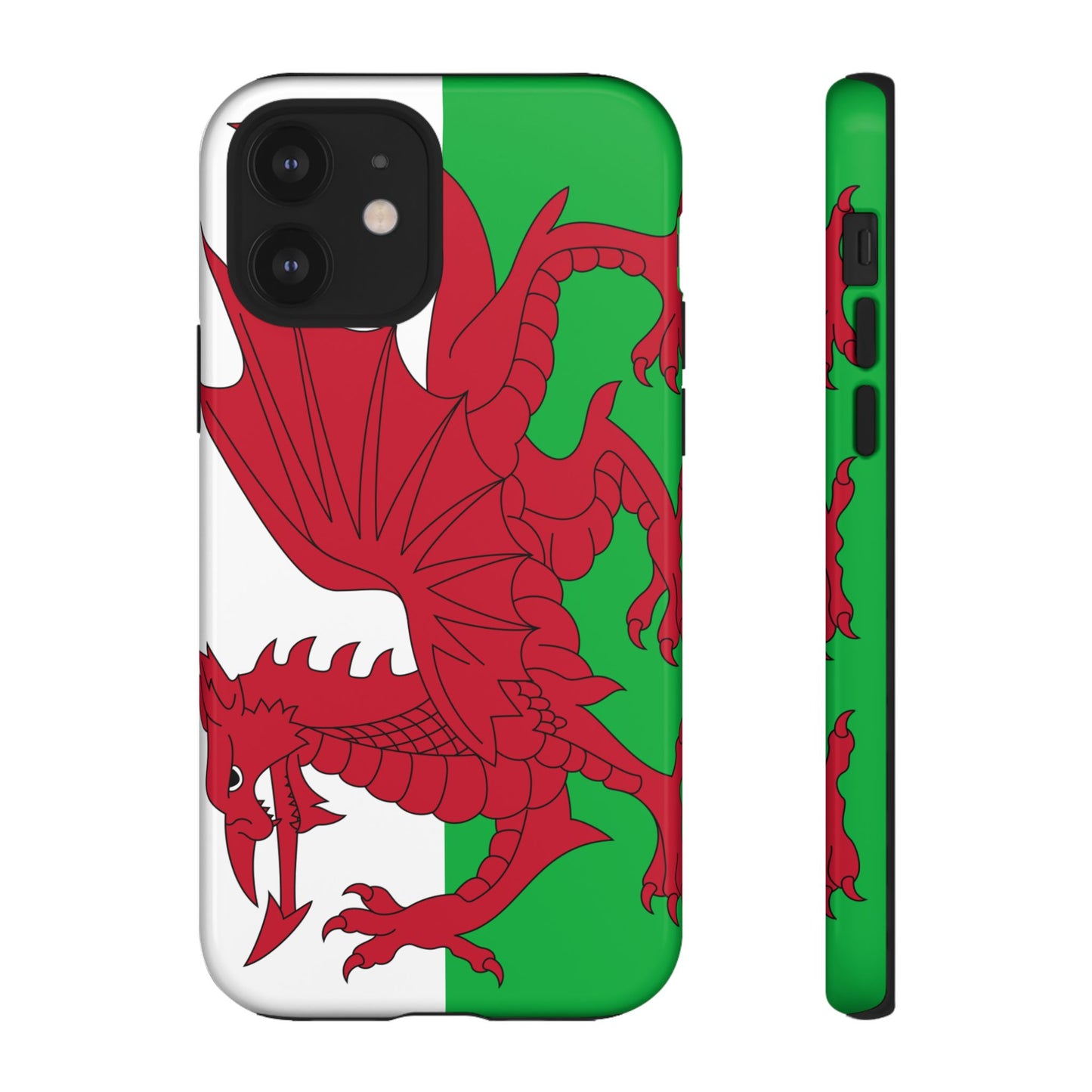 Wales Flag Case