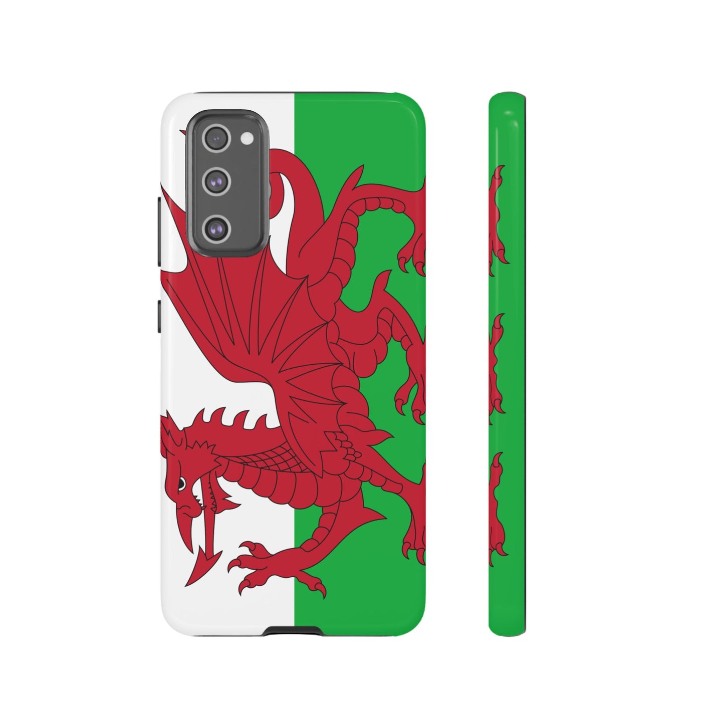 Wales Flag Case