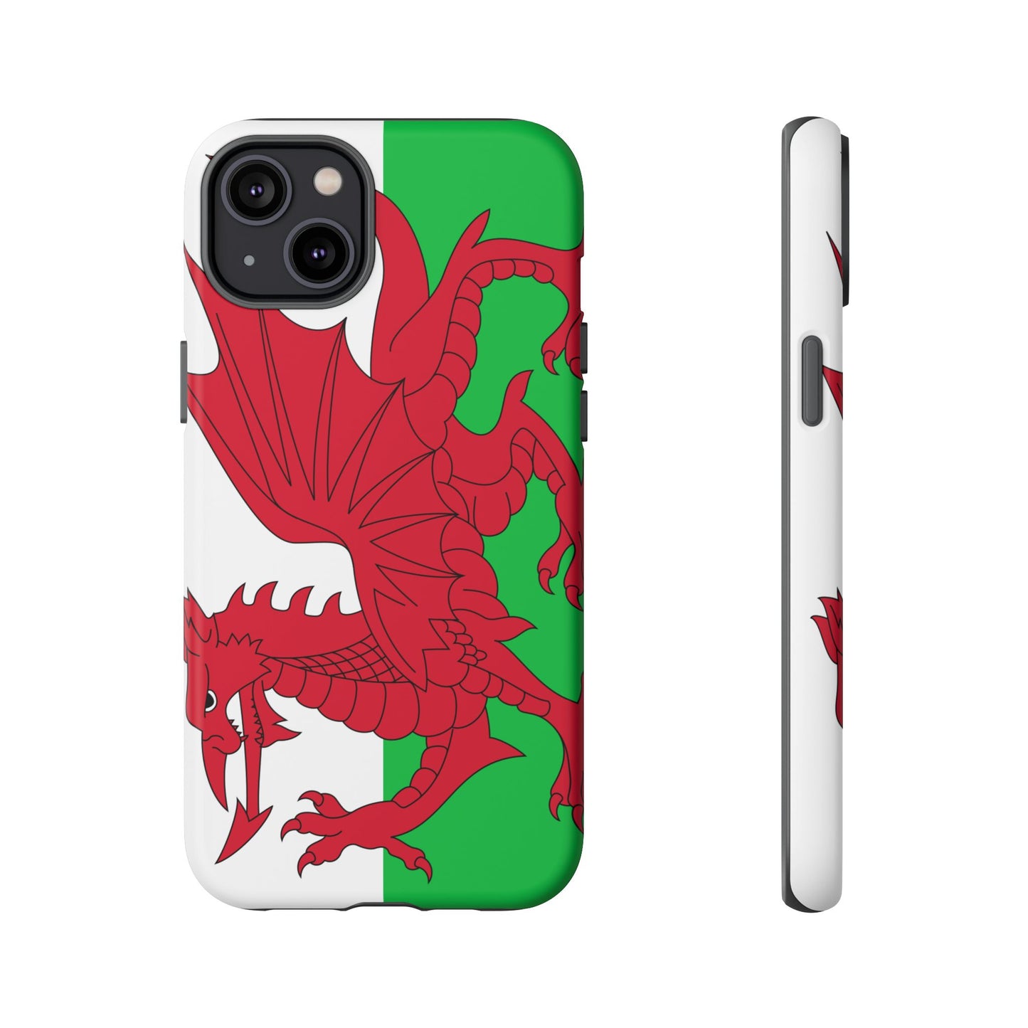Wales Flag Case