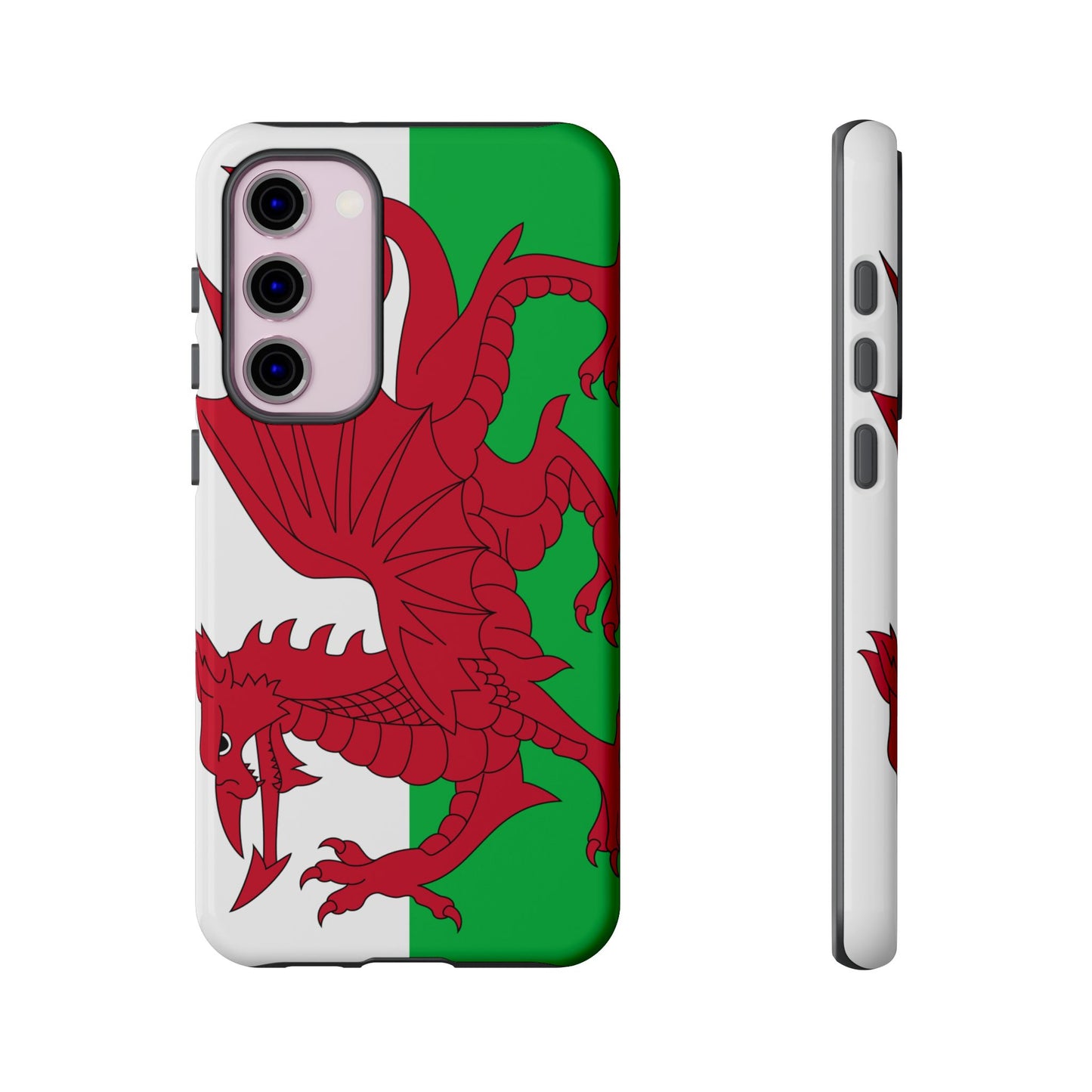 Wales Flag Case