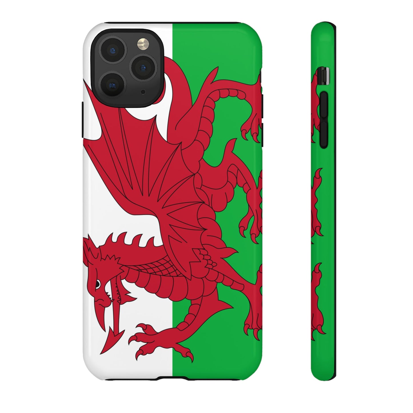 Wales Flag Case