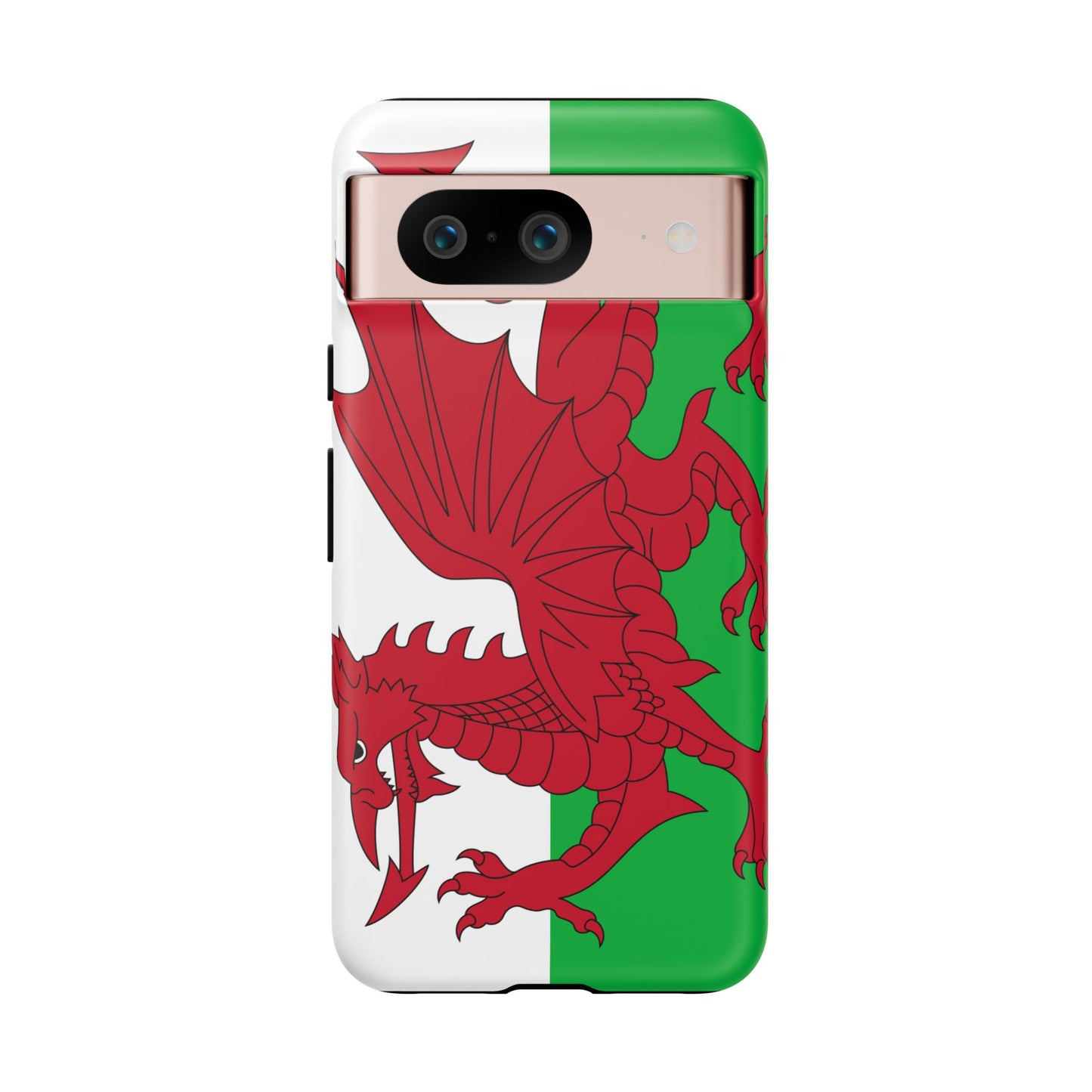 Wales Flag Case