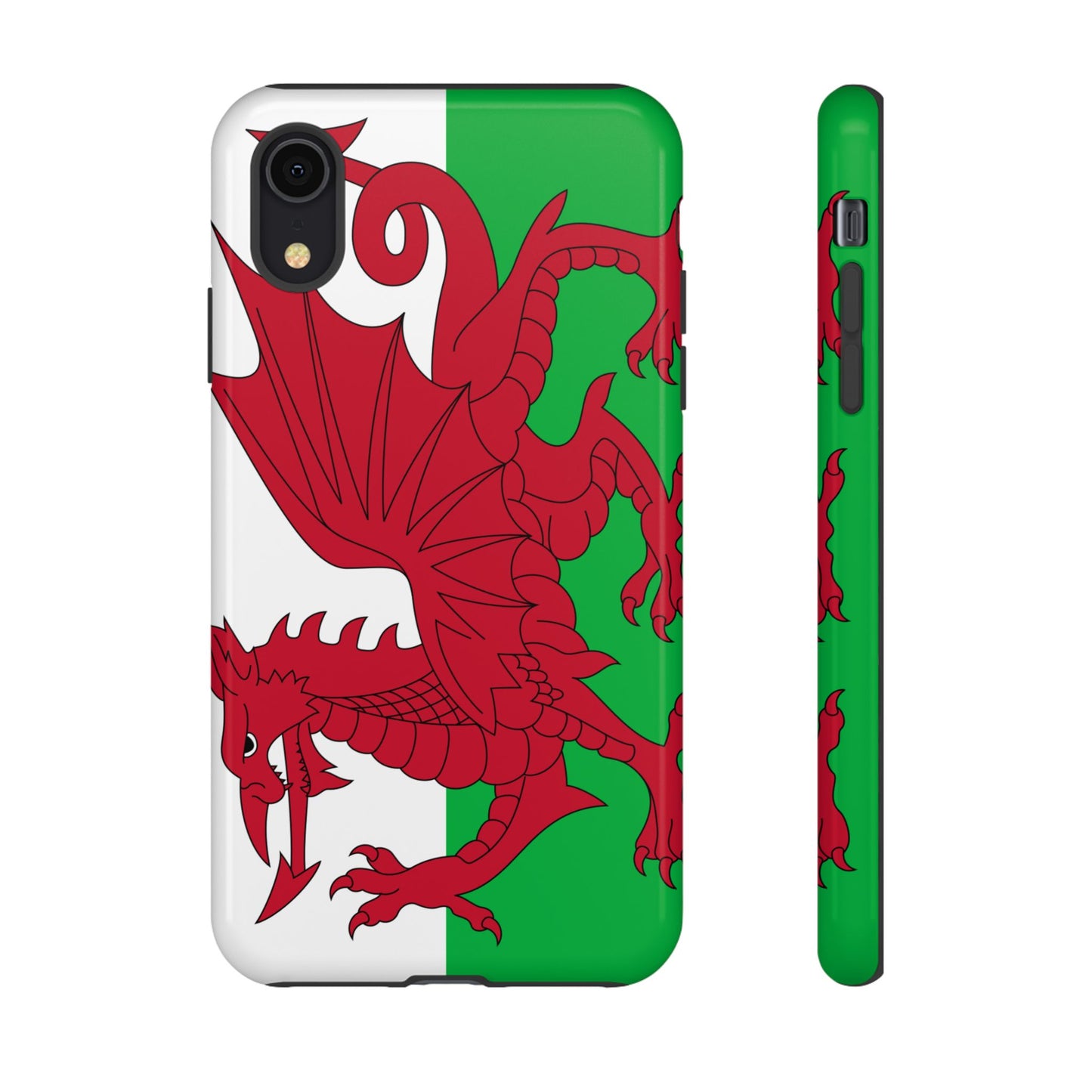 Wales Flag Case