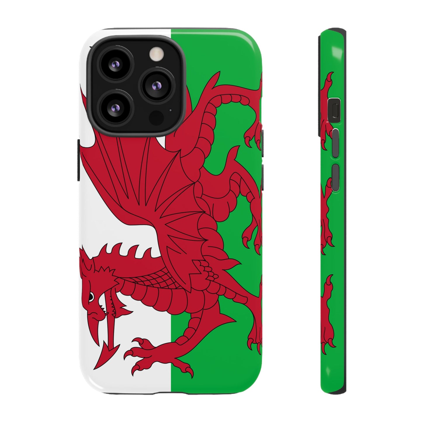 Wales Flag Case