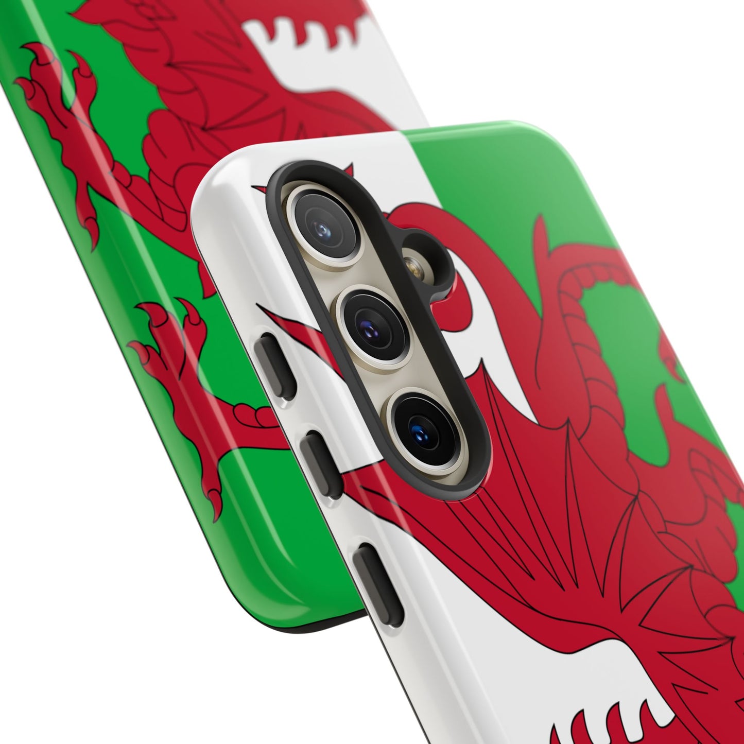 Wales Flag Case