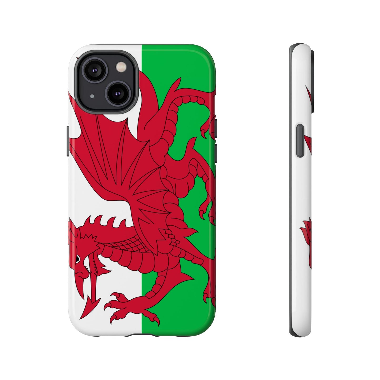 Wales Flag Case