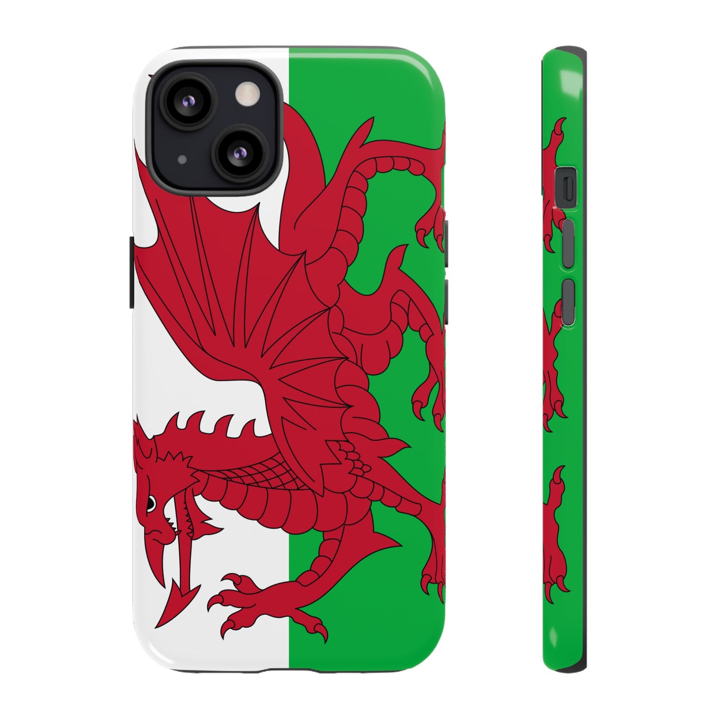 Wales Flag Case