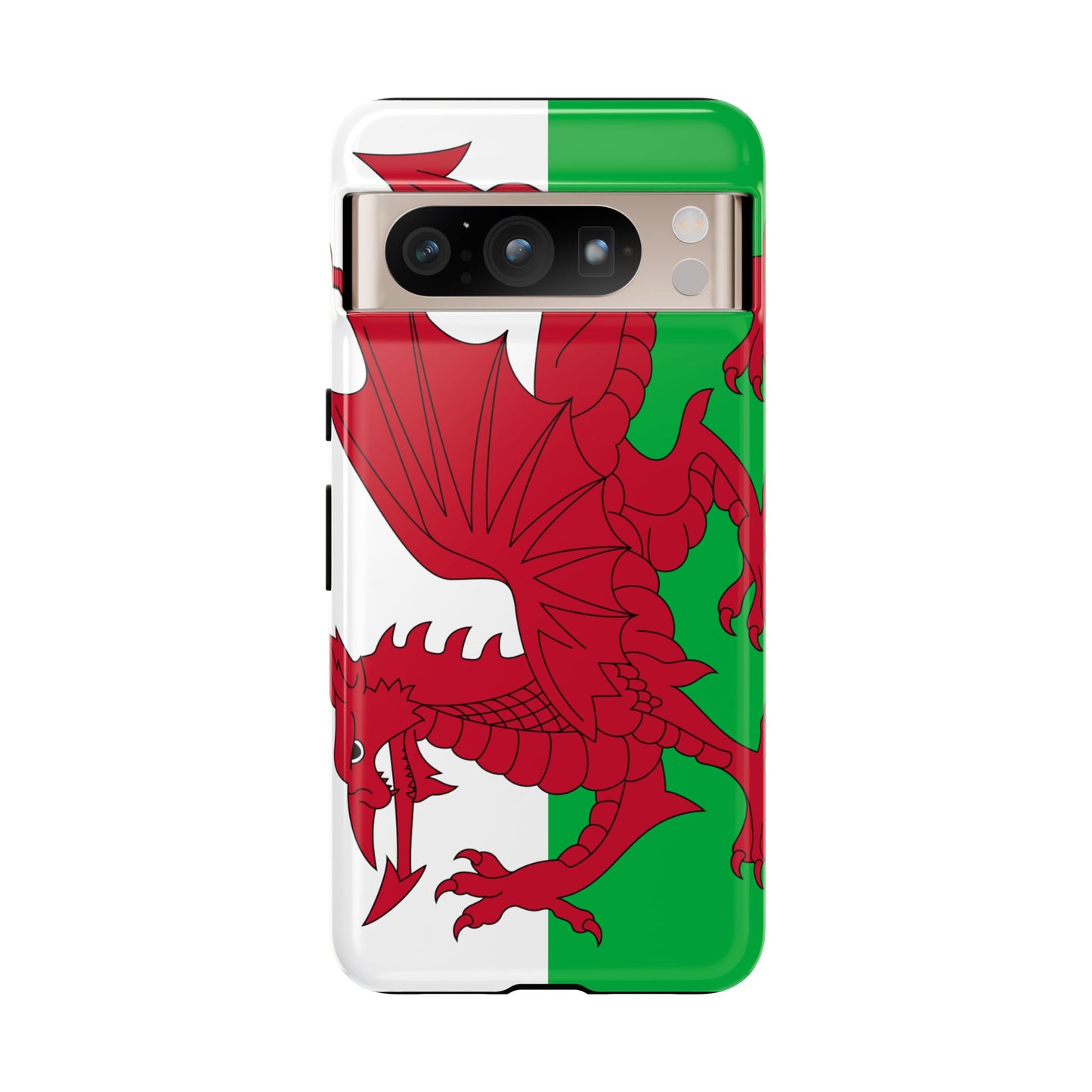Wales Flag Case