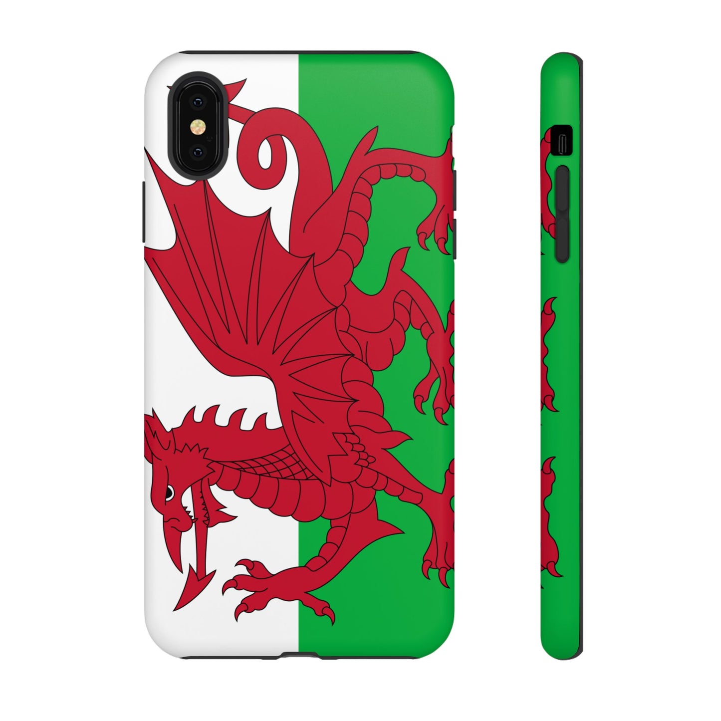 Wales Flag Case
