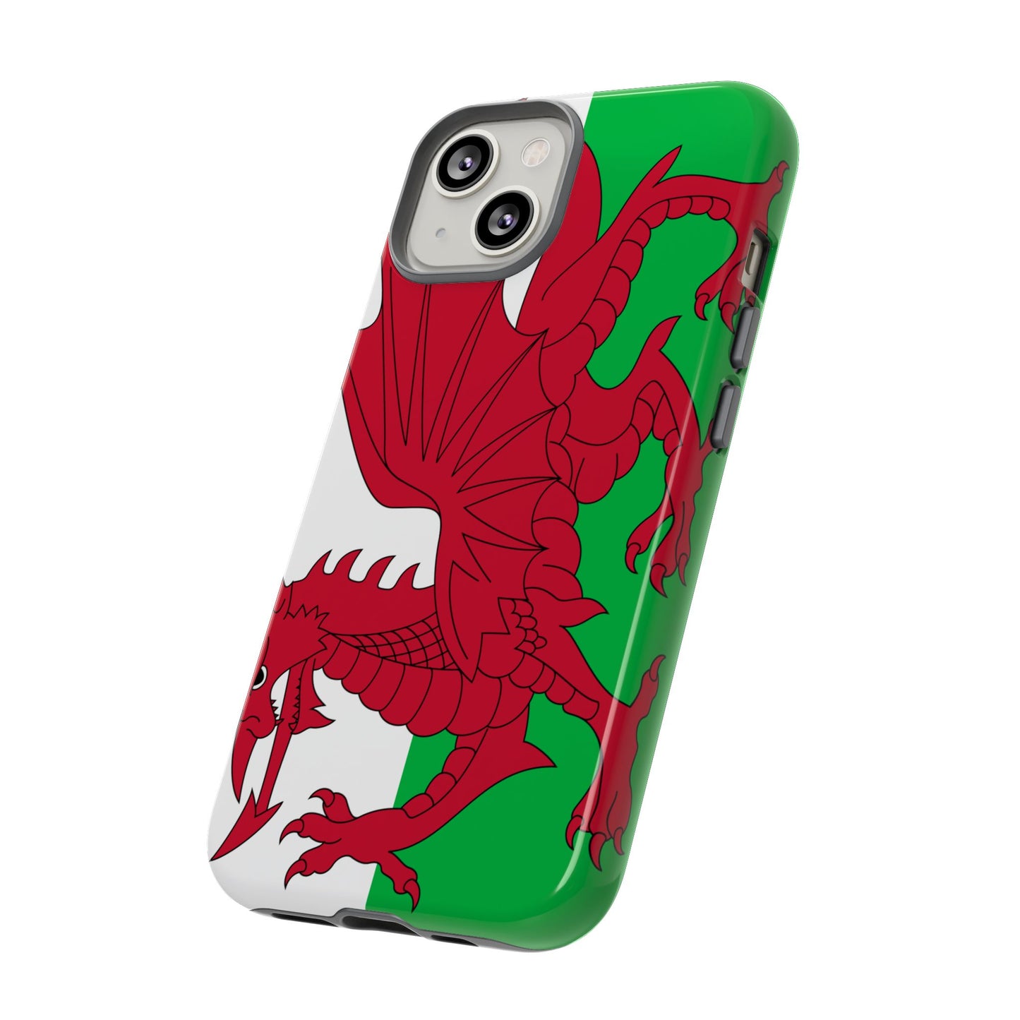 Wales Flag Case