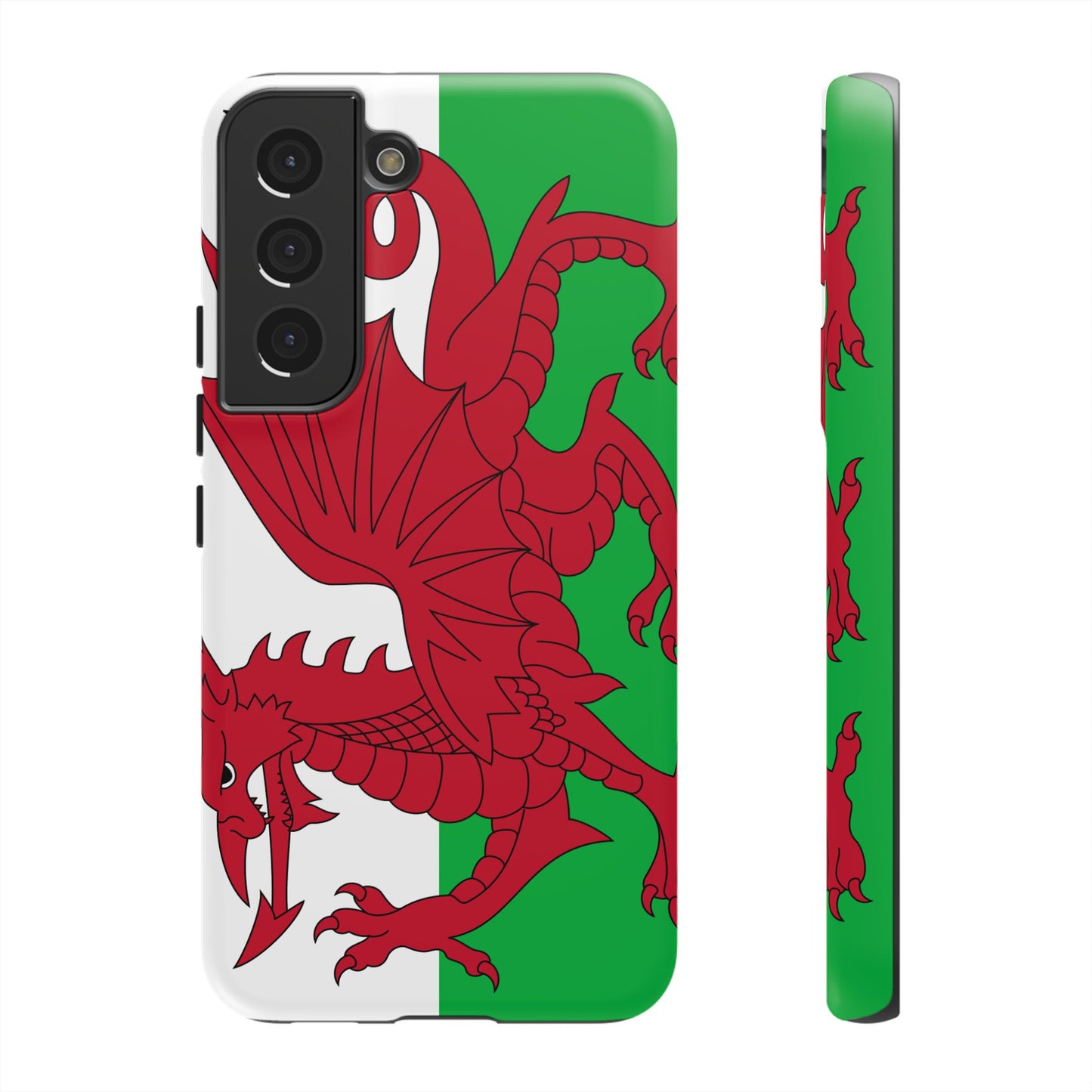 Wales Flag Case