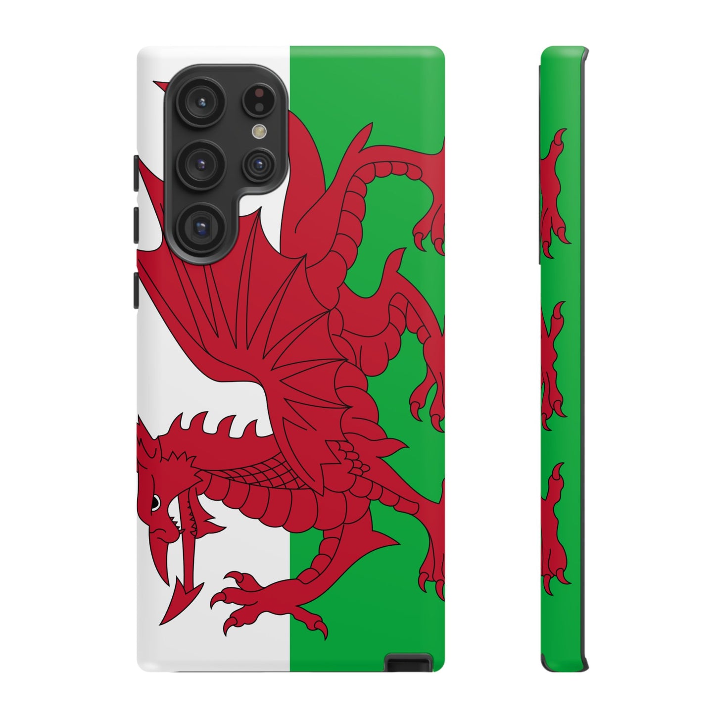 Wales Flag Case