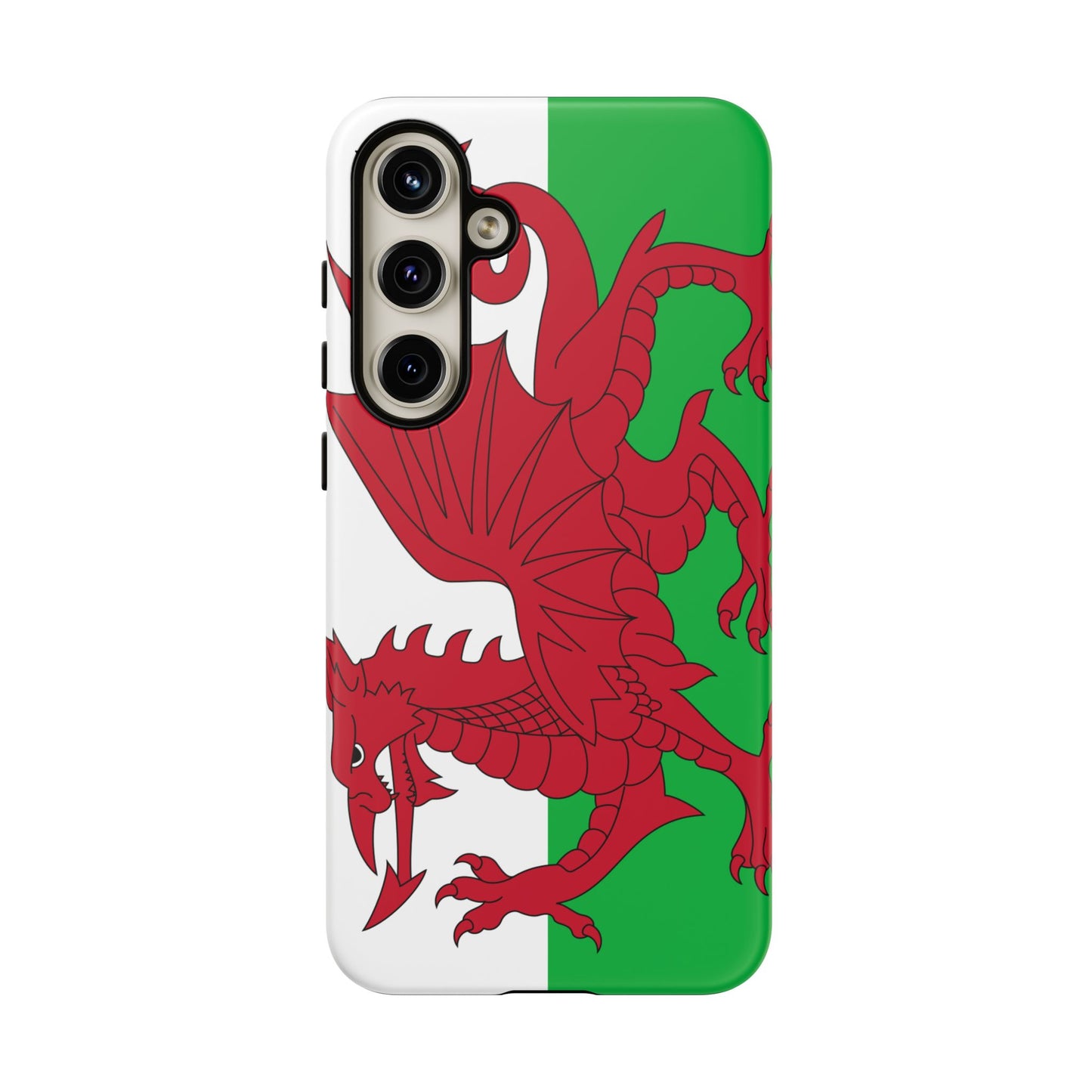 Wales Flag Case