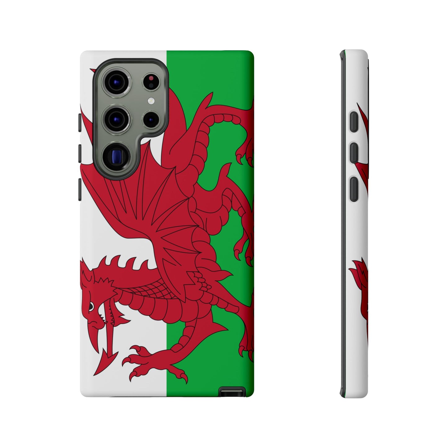 Wales Flag Case
