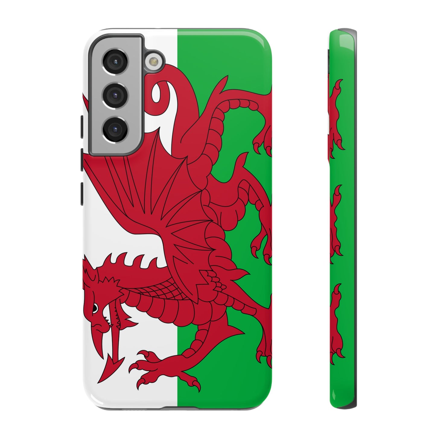 Wales Flag Case