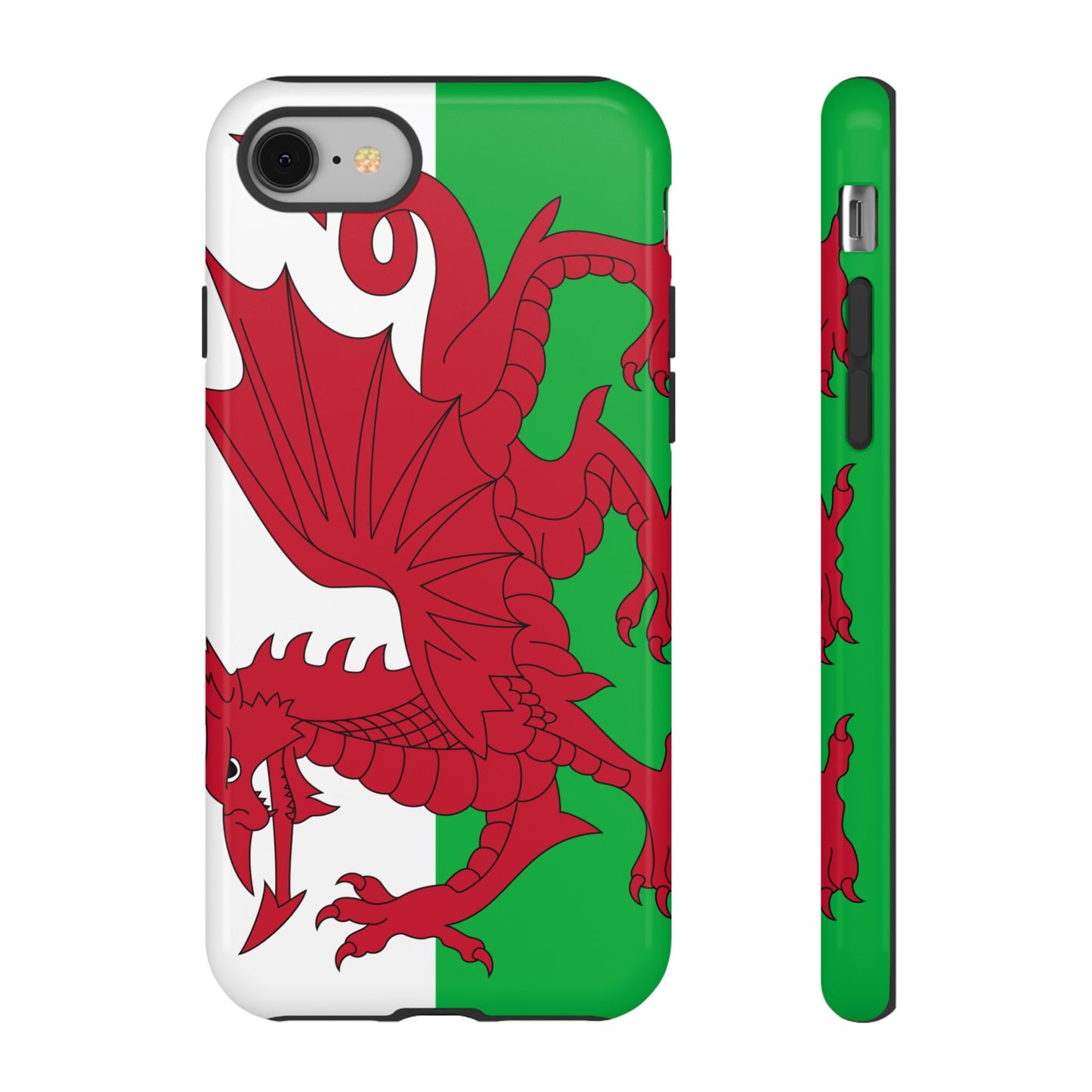 Wales Flag Case