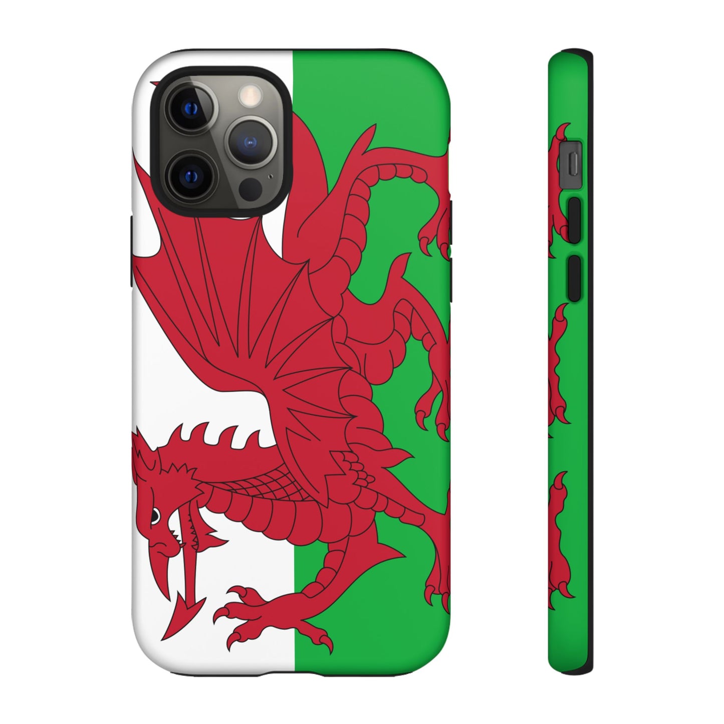 Wales Flag Case