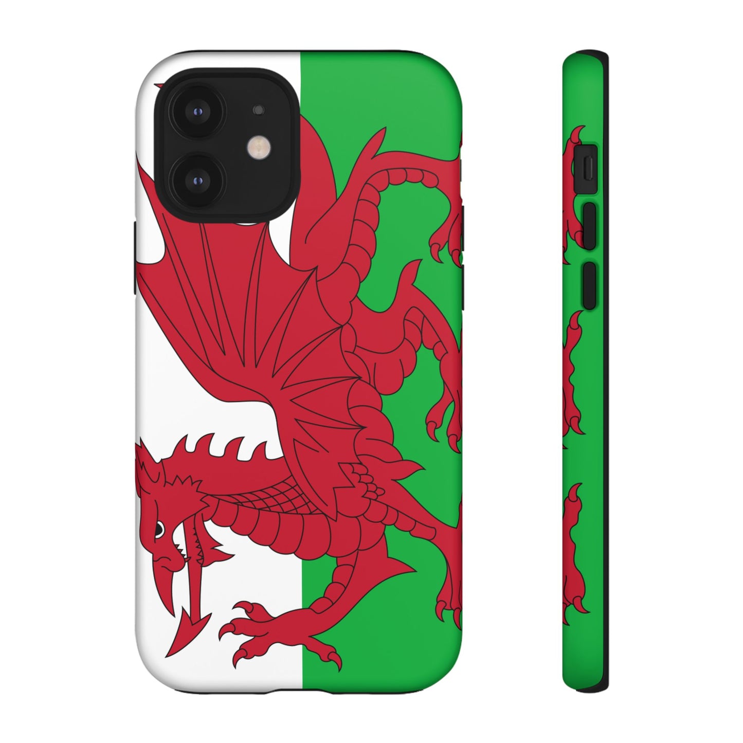 Wales Flag Case