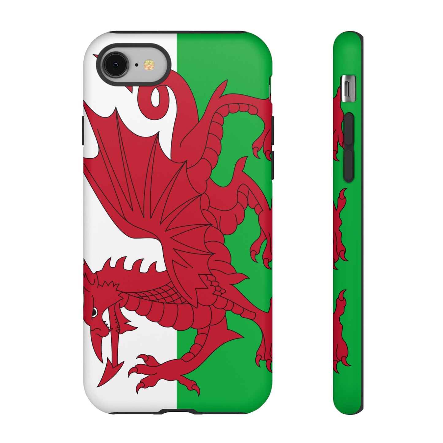 Wales Flag Case