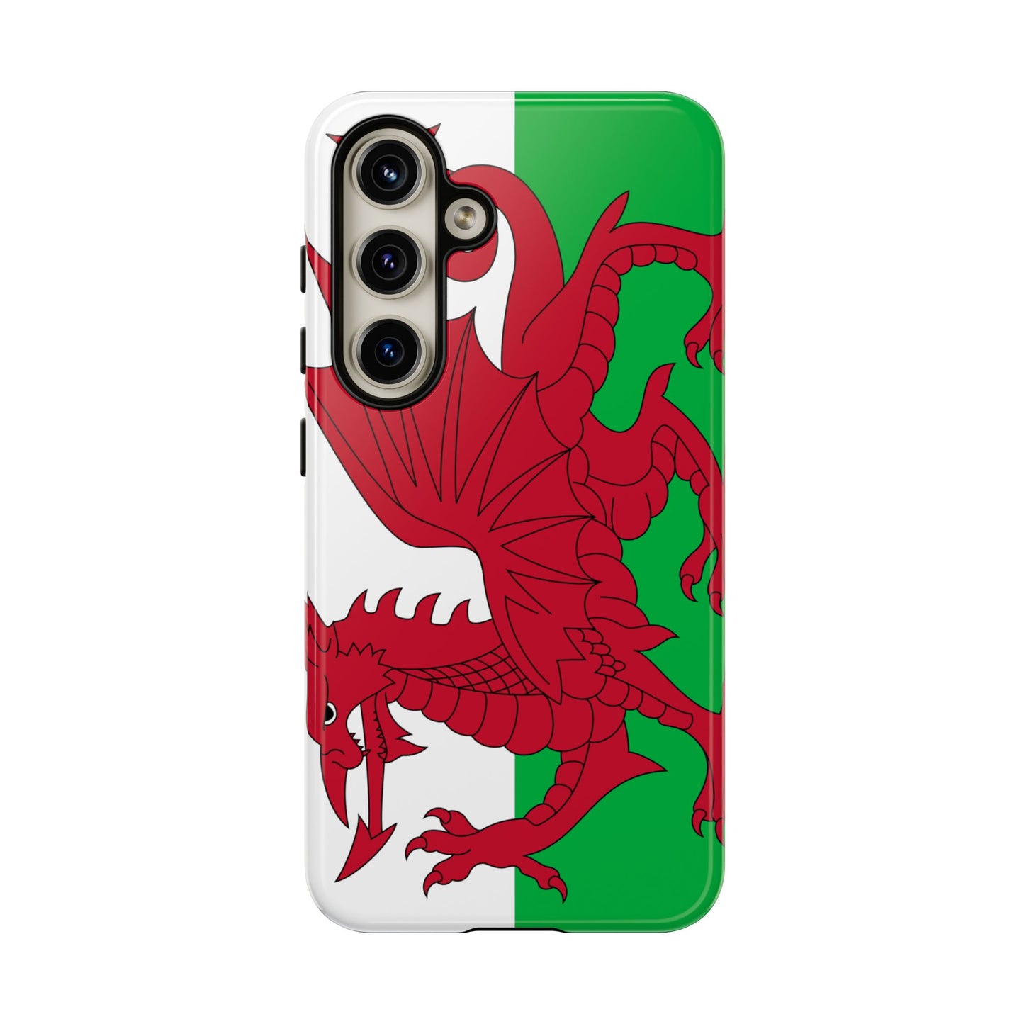 Wales Flag Case