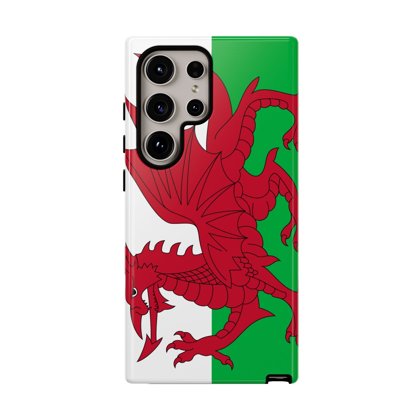 Wales Flag Case