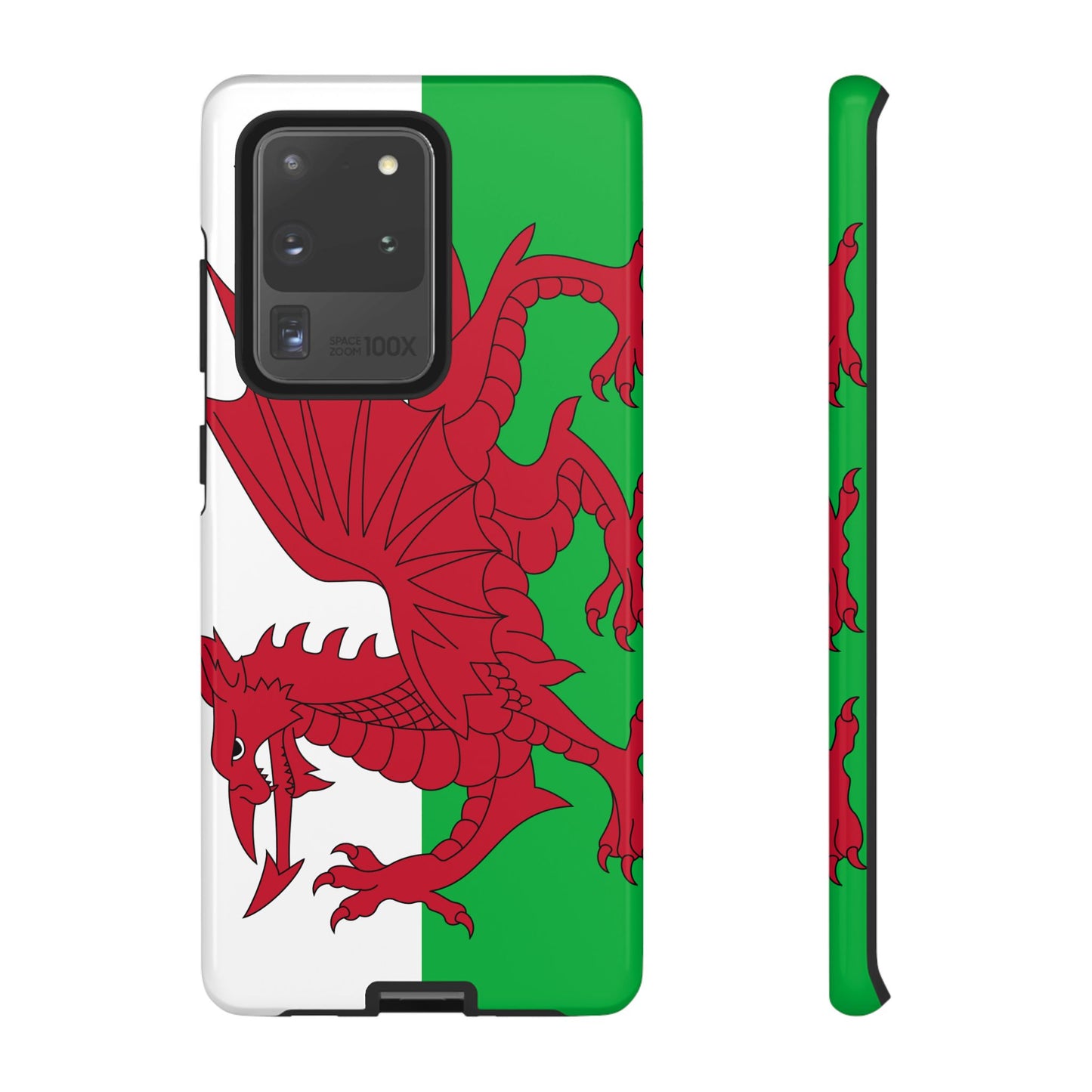 Wales Flag Case