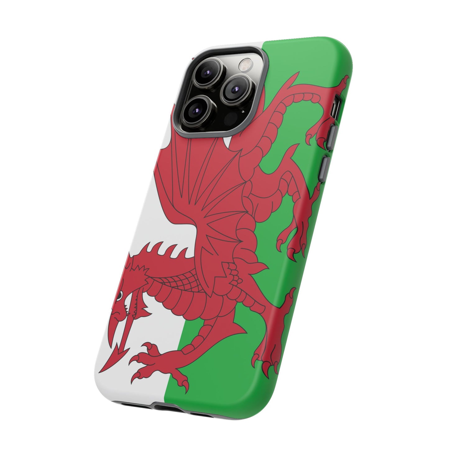 Wales Flag Case