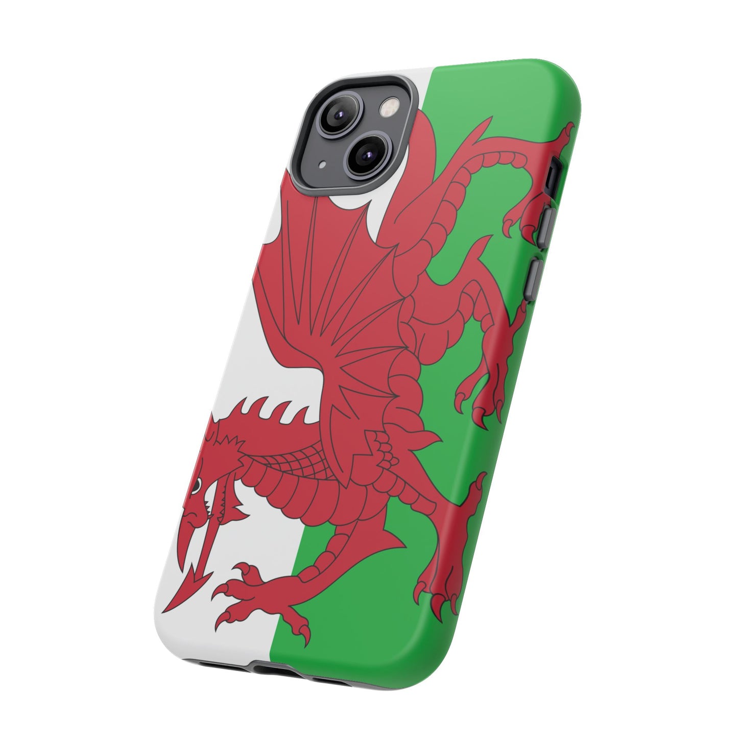 Wales Flag Case
