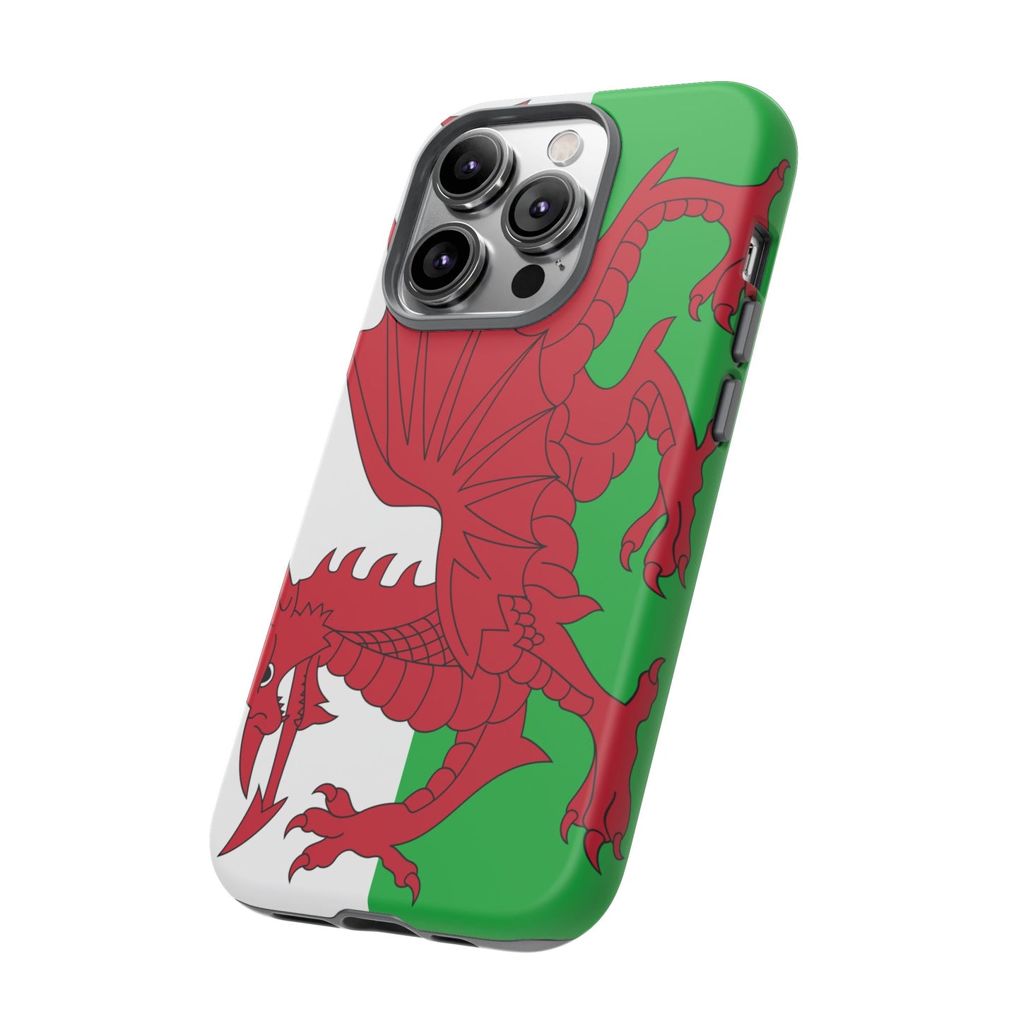 Wales Flag Case