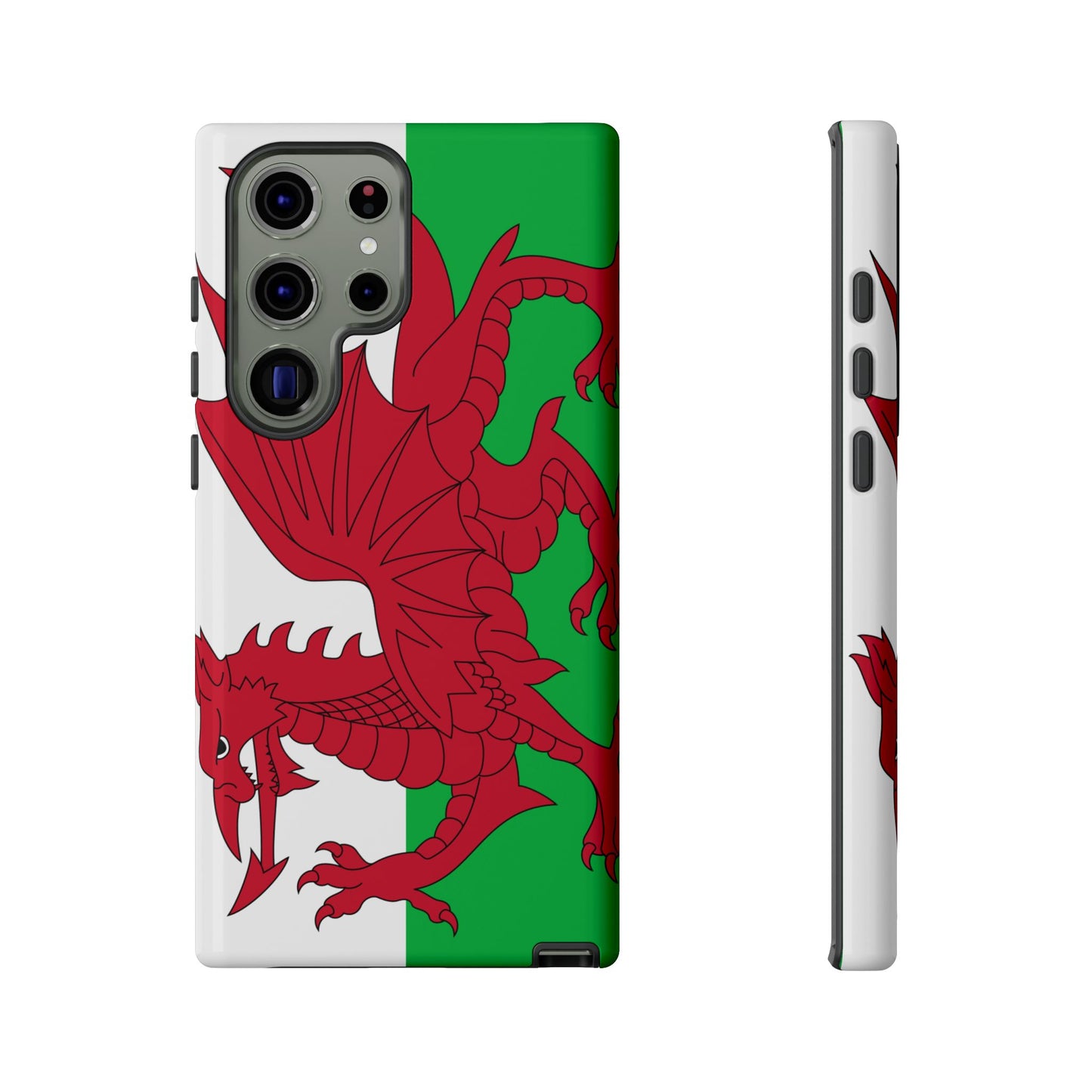 Wales Flag Case