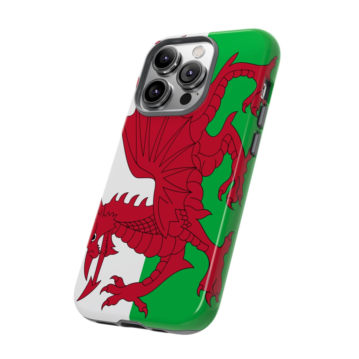Wales Flag Case
