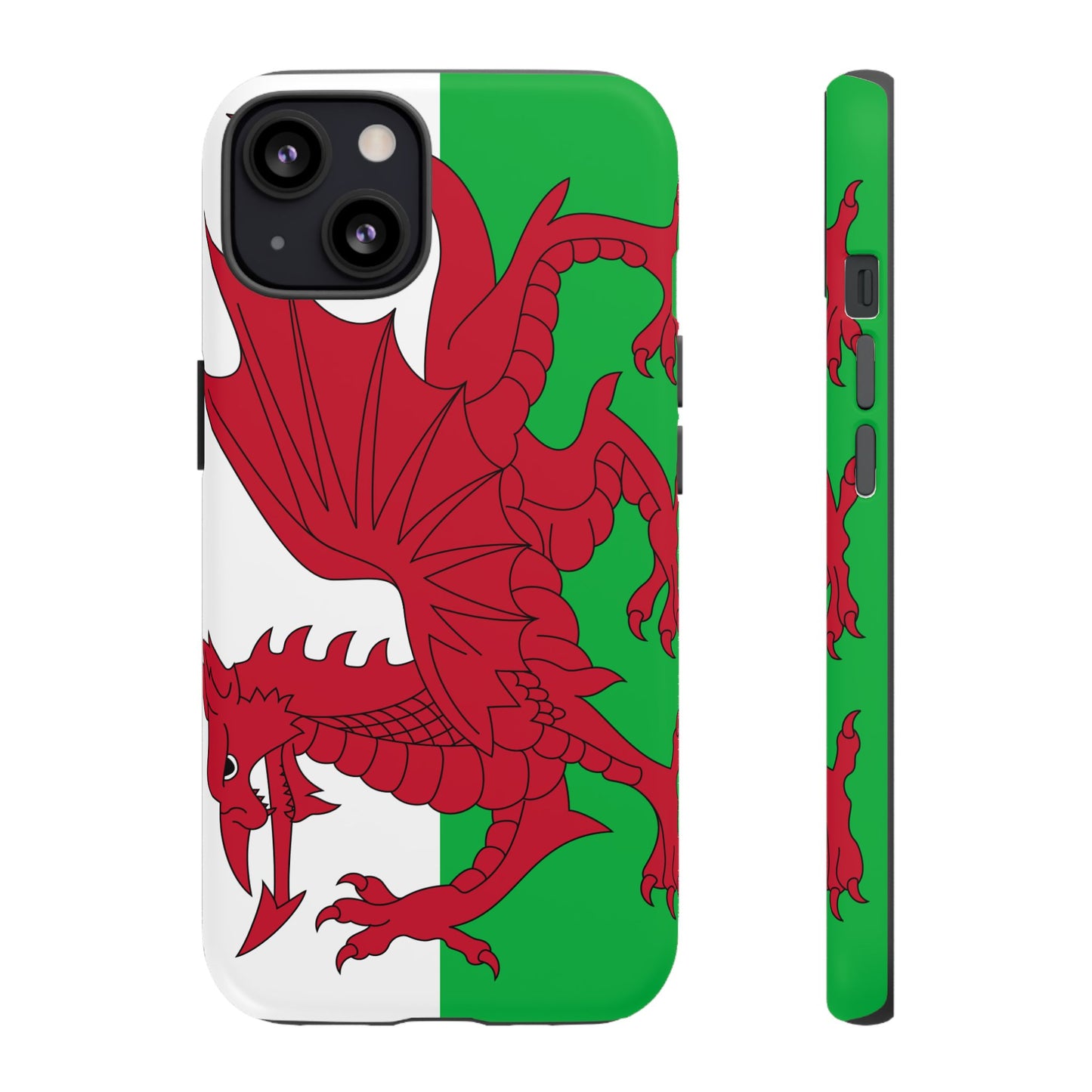Wales Flag Case