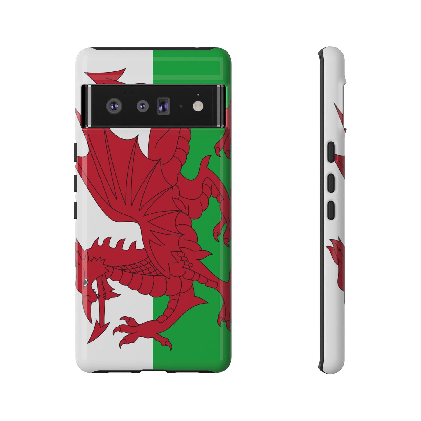 Wales Flag Case