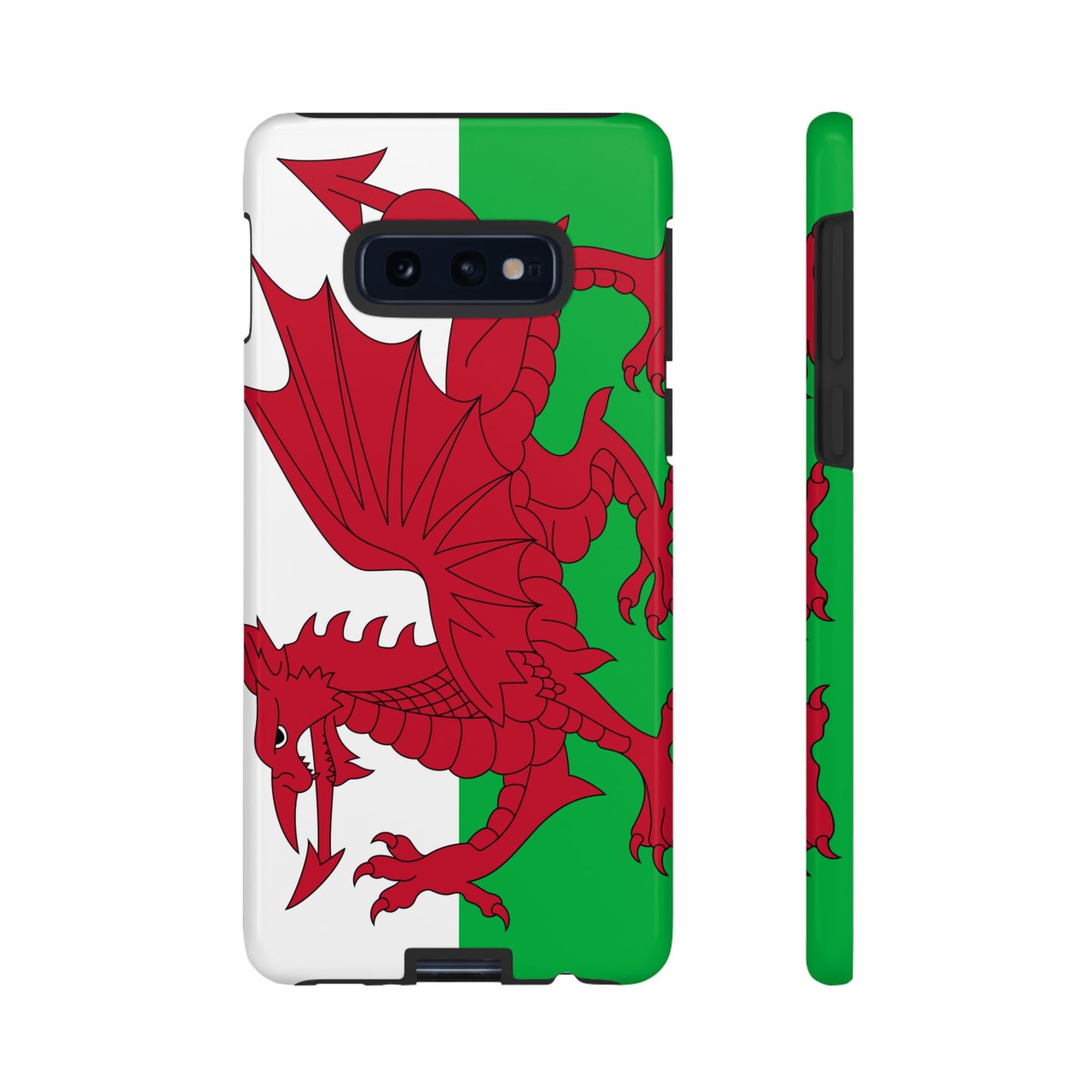 Wales Flag Case