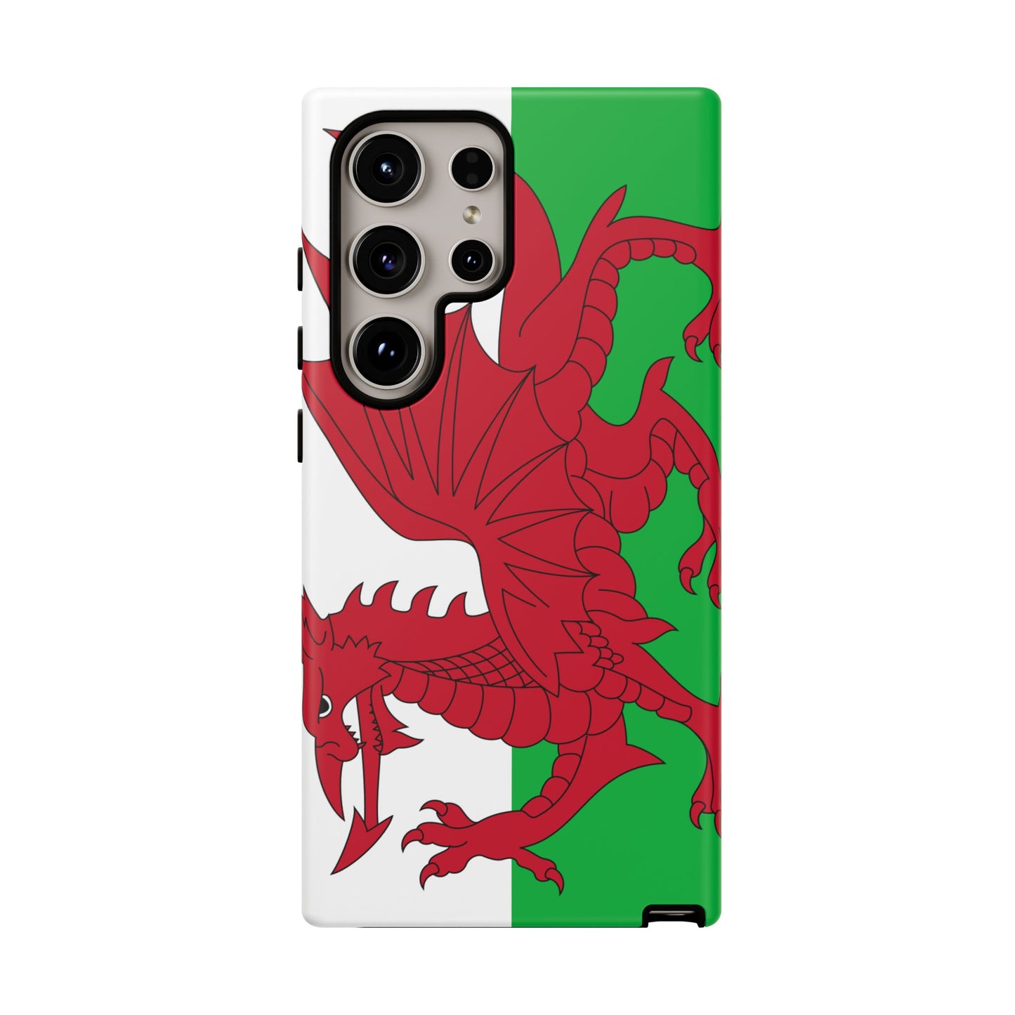 Wales Flag Case