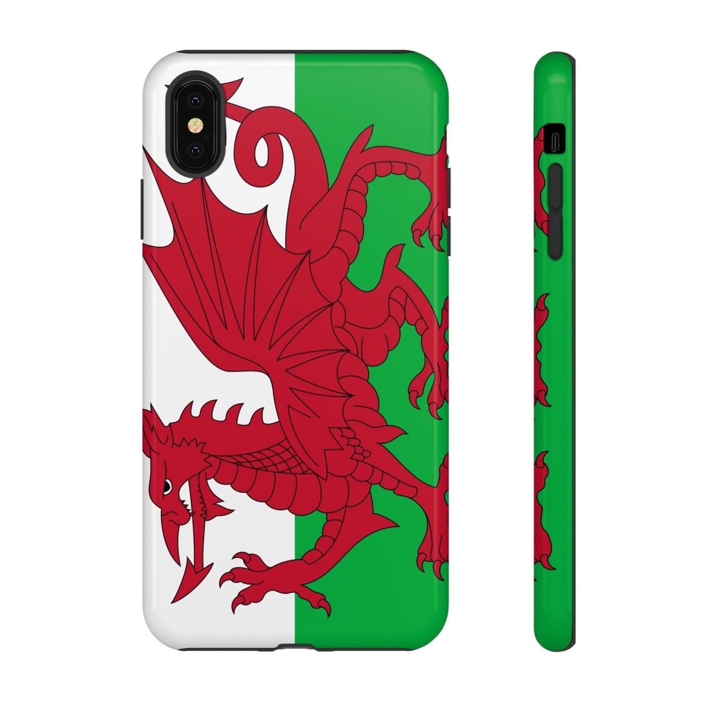 Wales Flag Case