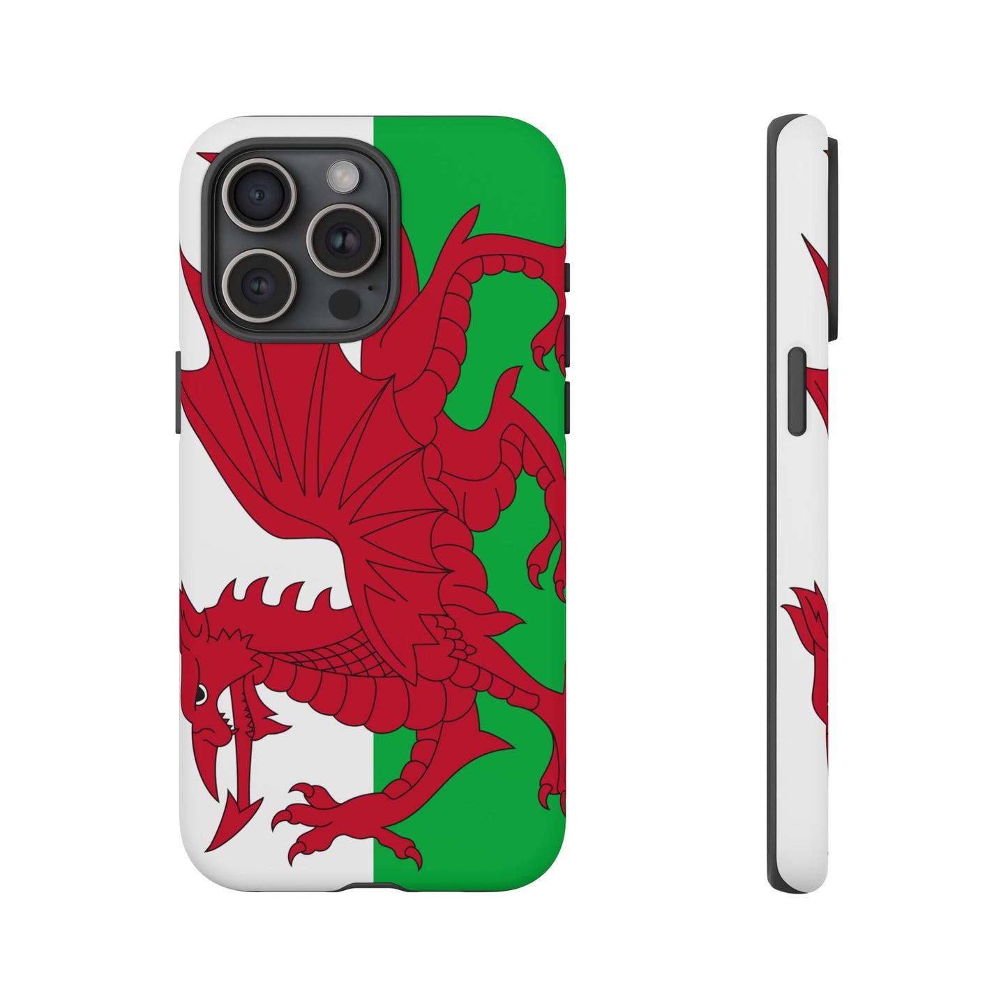 Wales Flag Case