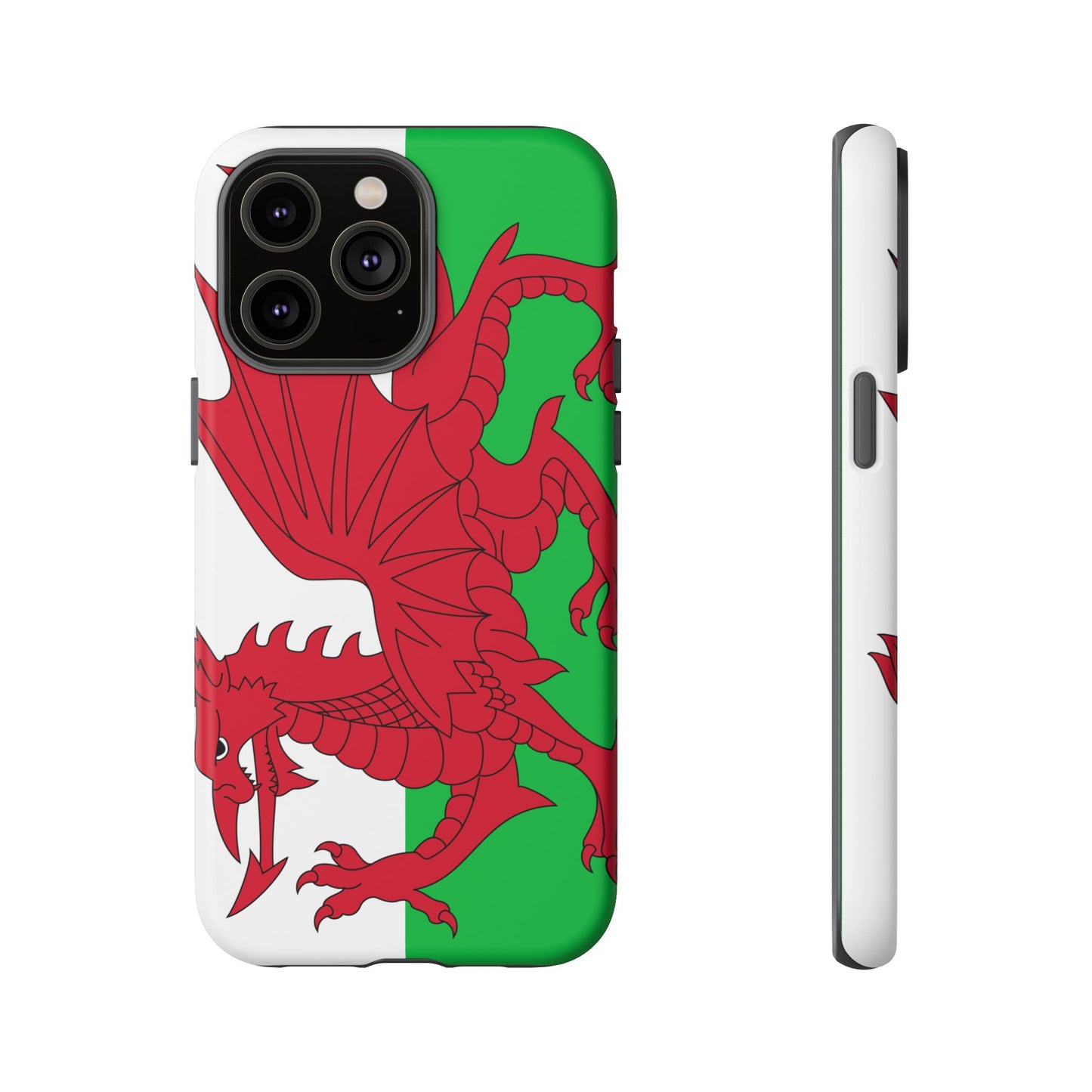 Wales Flag Case