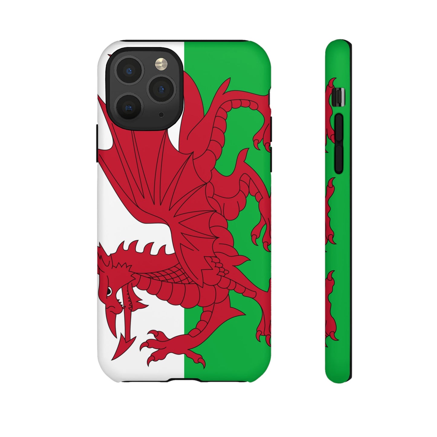 Wales Flag Case