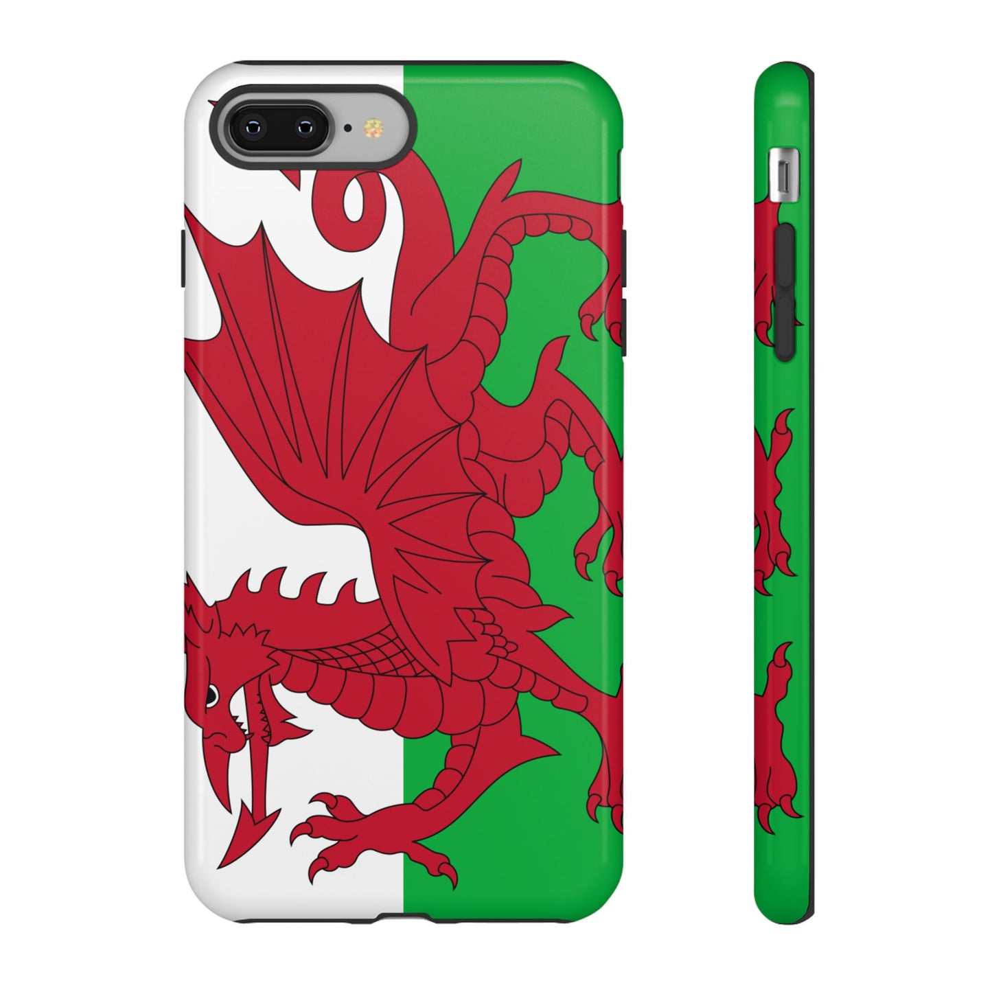 Wales Flag Case