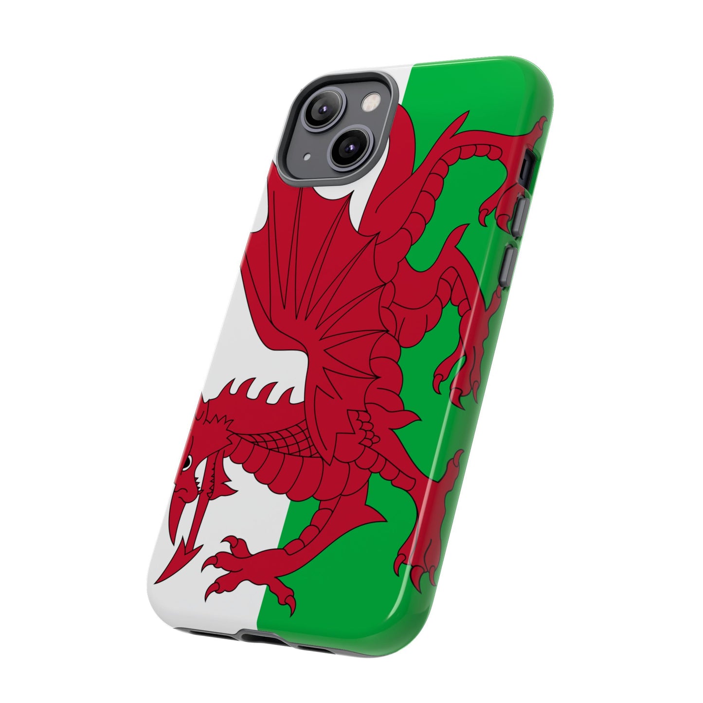 Wales Flag Case