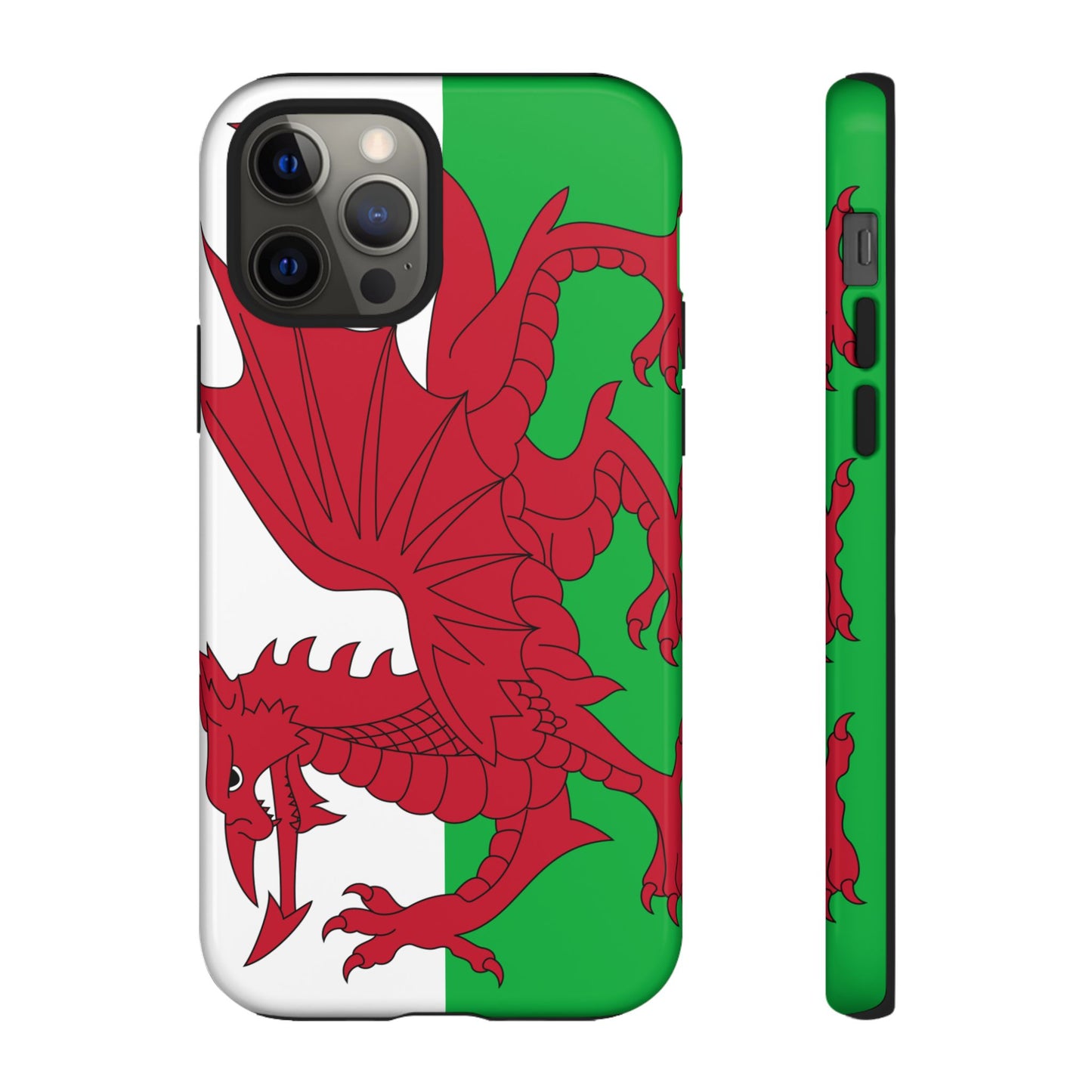 Wales Flag Case