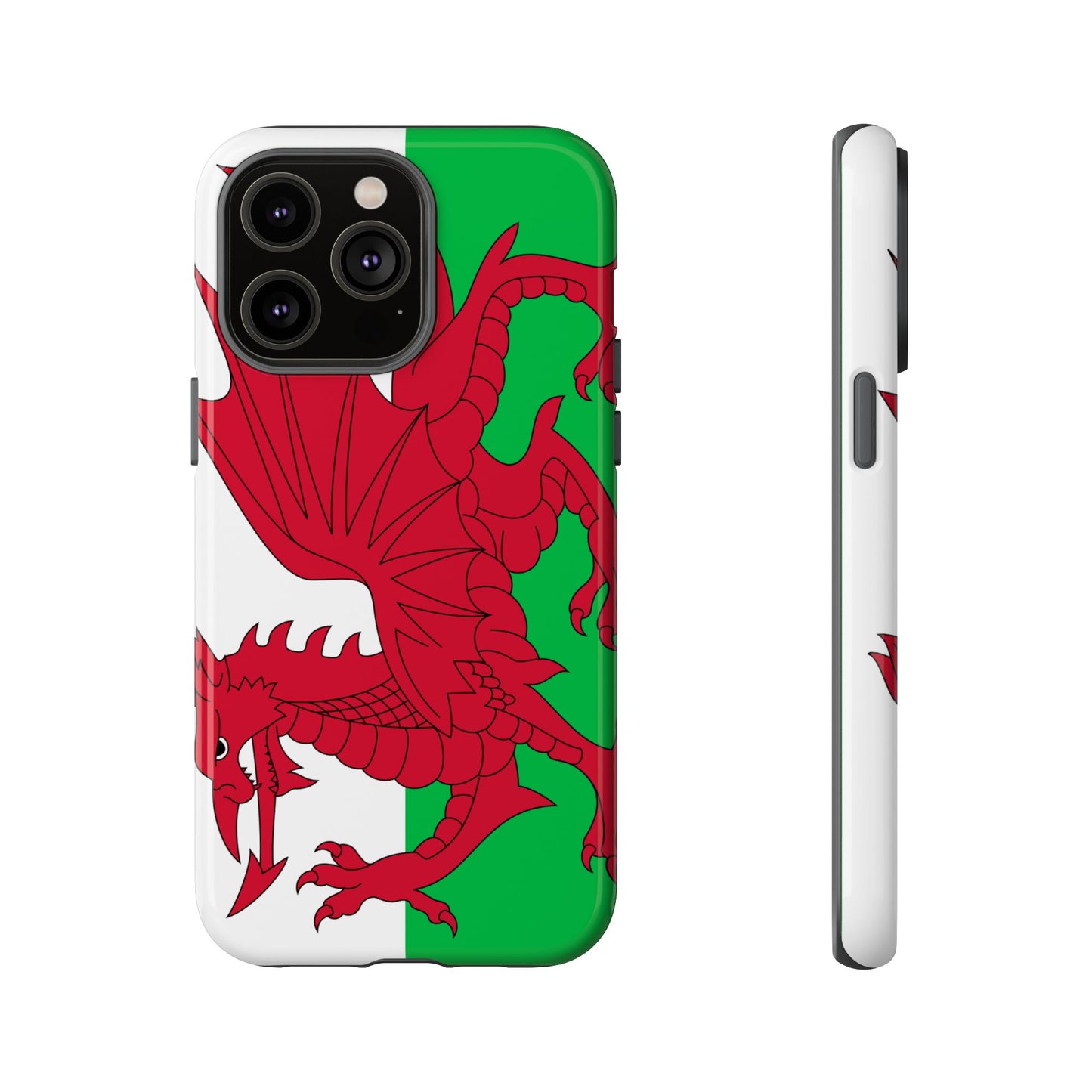 Wales Flag Case