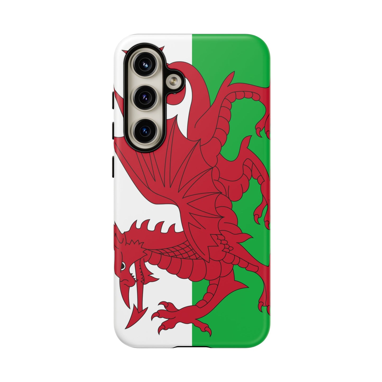 Wales Flag Case